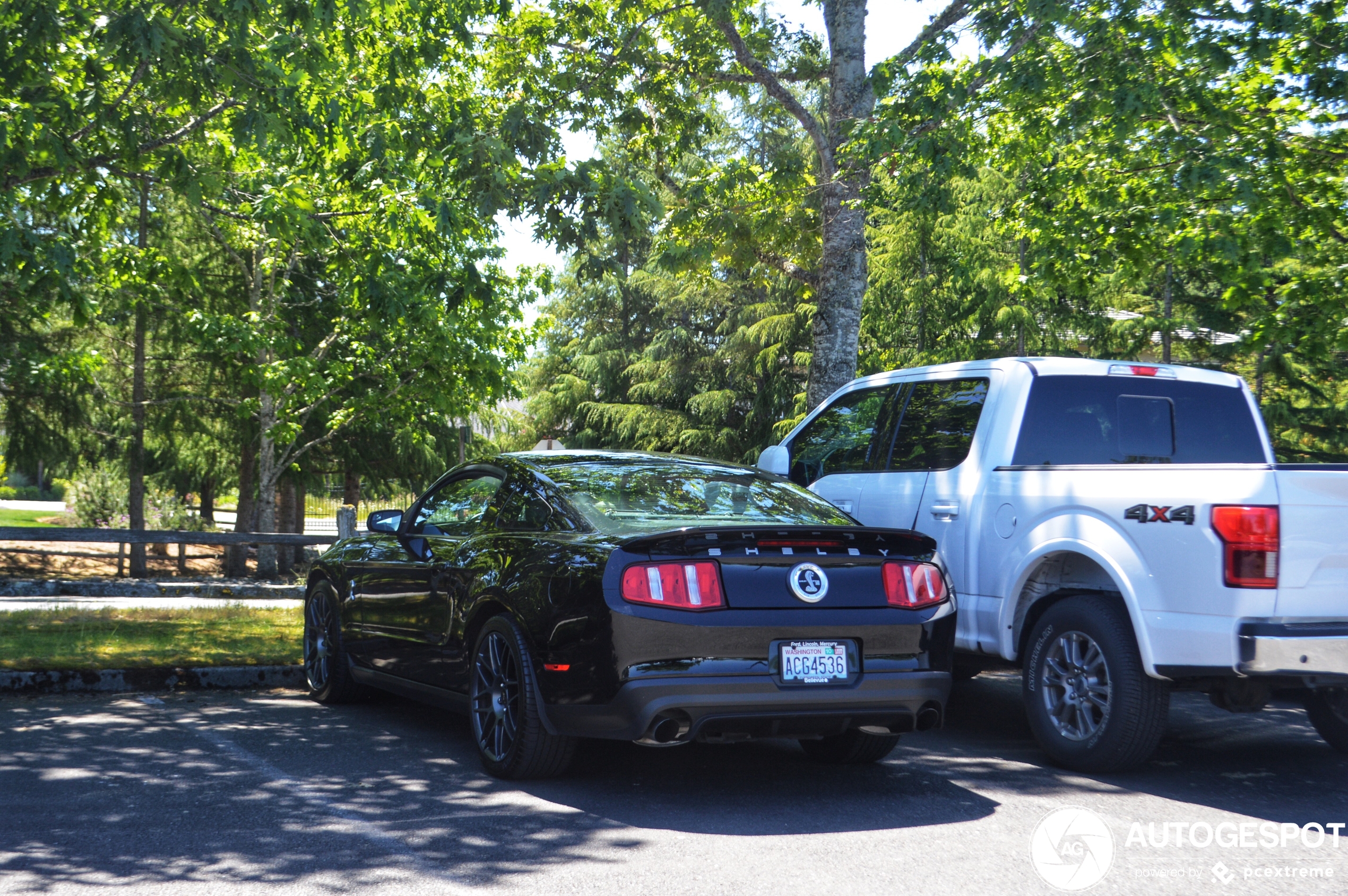 Ford Mustang Shelby GT500 2010