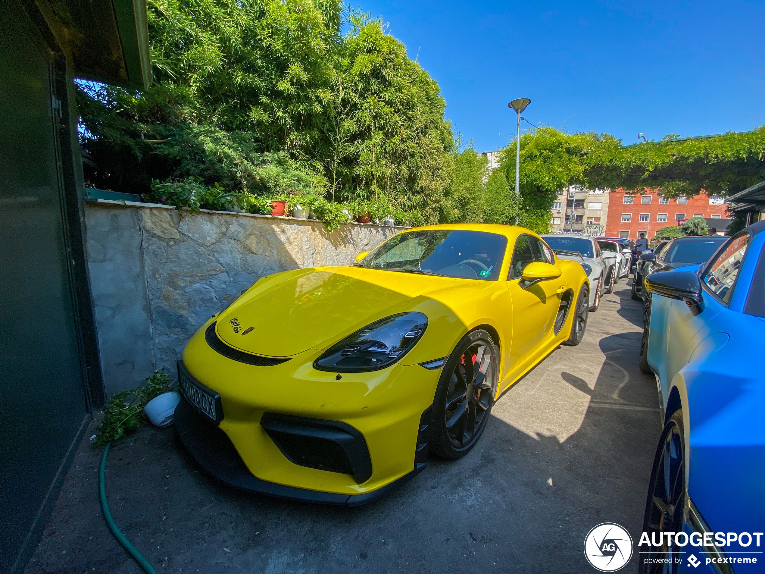 Porsche 718 Cayman GT4