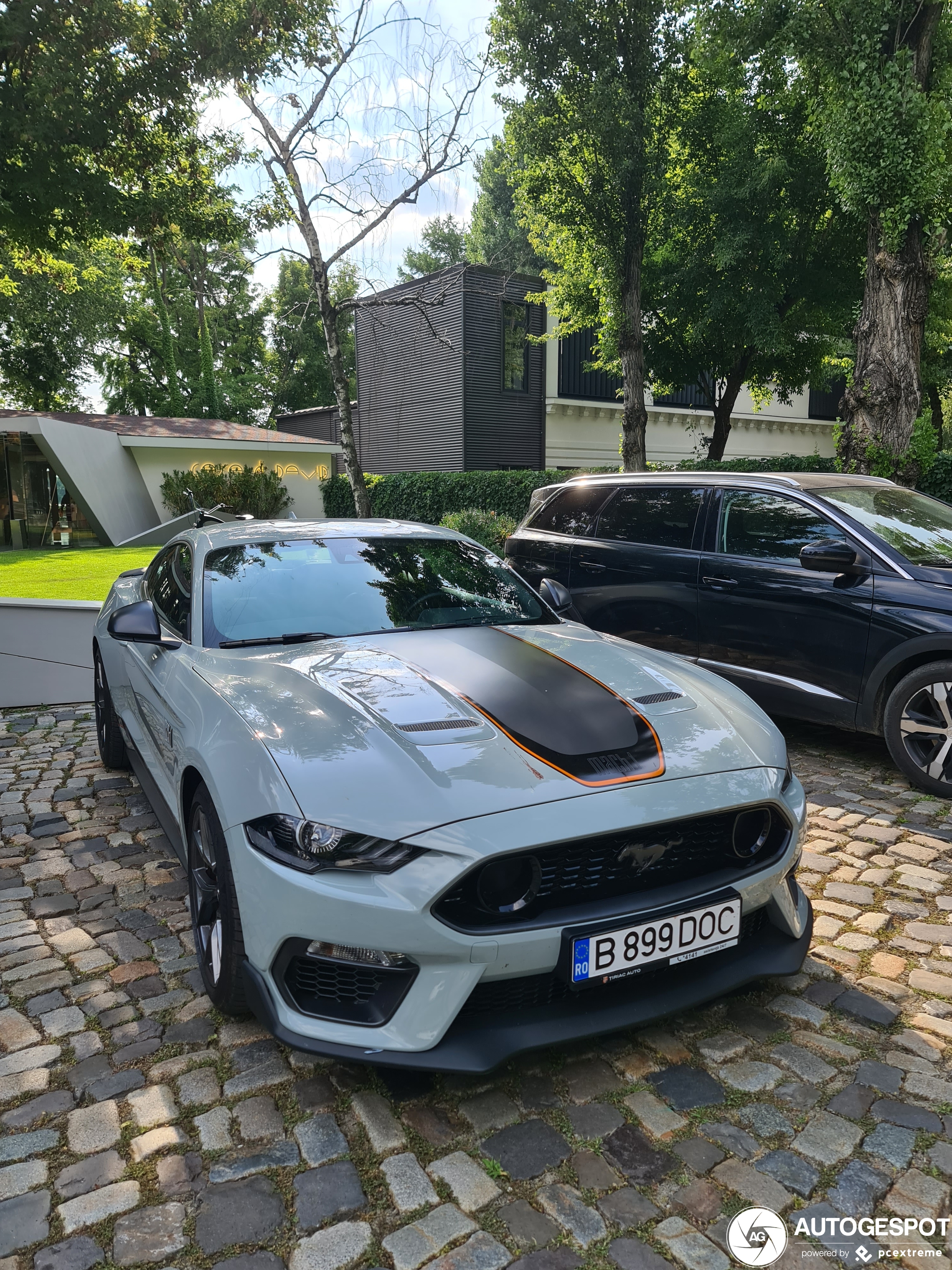 Ford Mustang Mach 1 2021