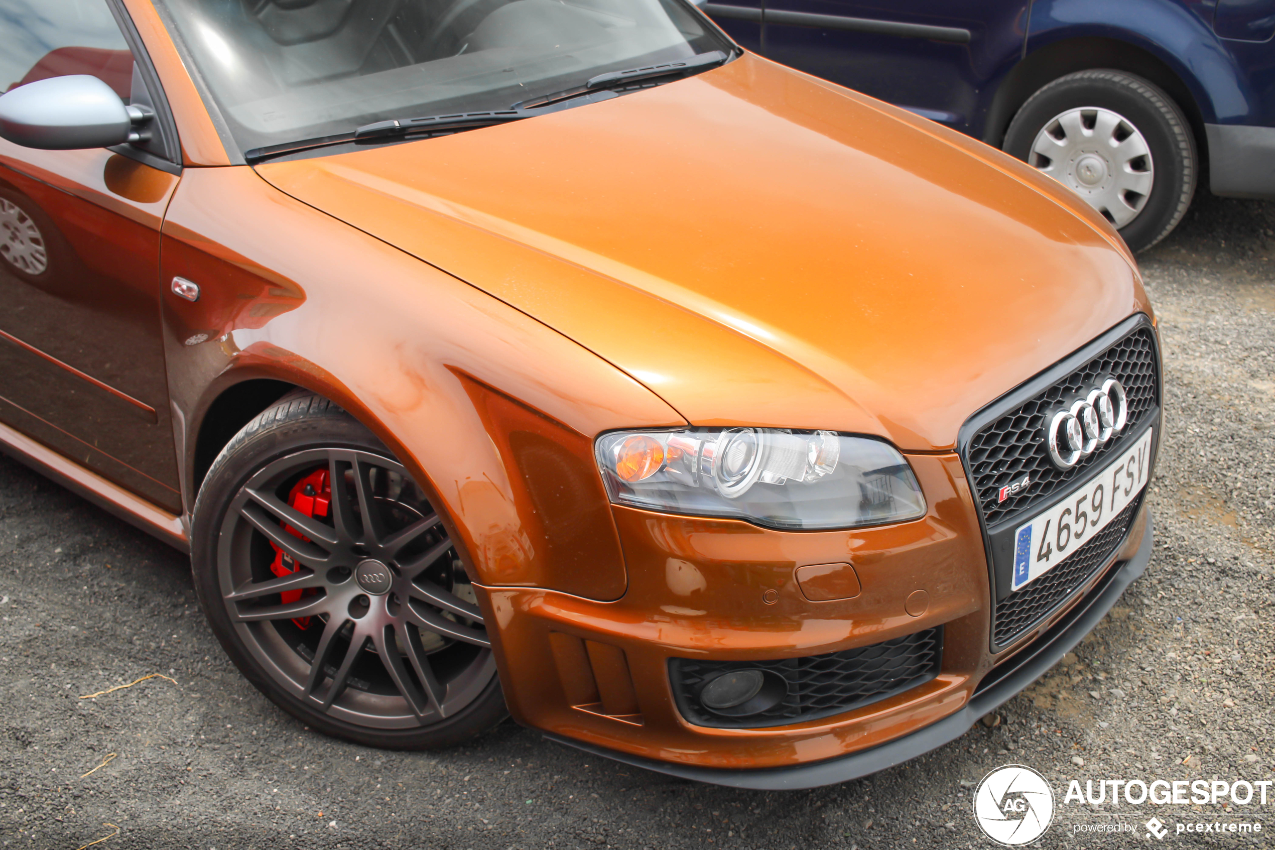 Ipanema Bruin kleurt de Audi RS4 fantastisch