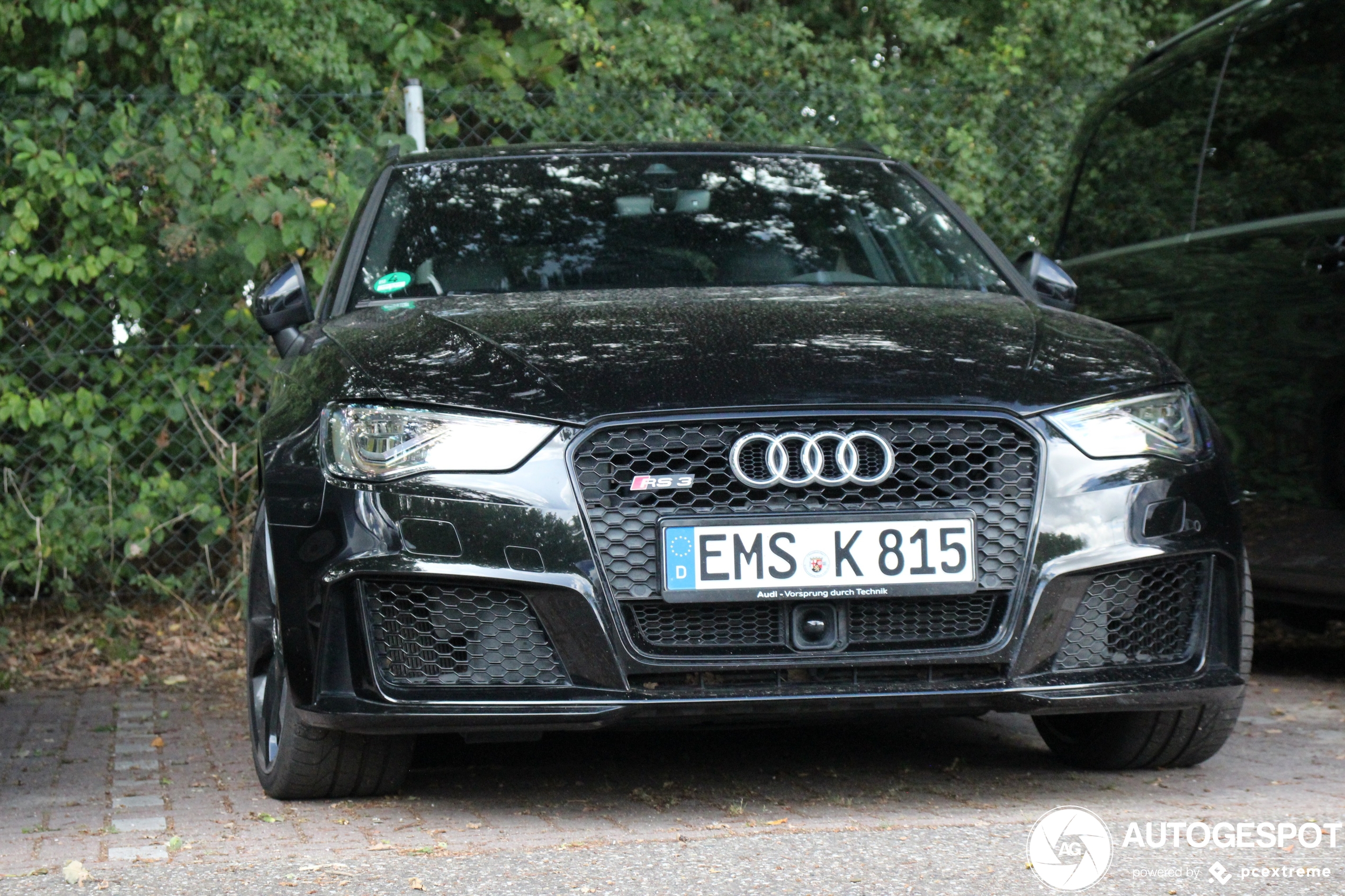 Audi RS3 Sportback 8V