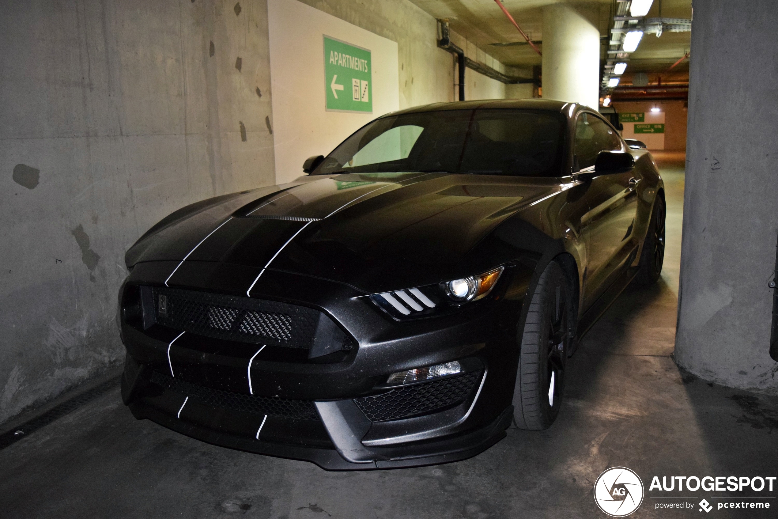 Ford Mustang Shelby GT350 2015