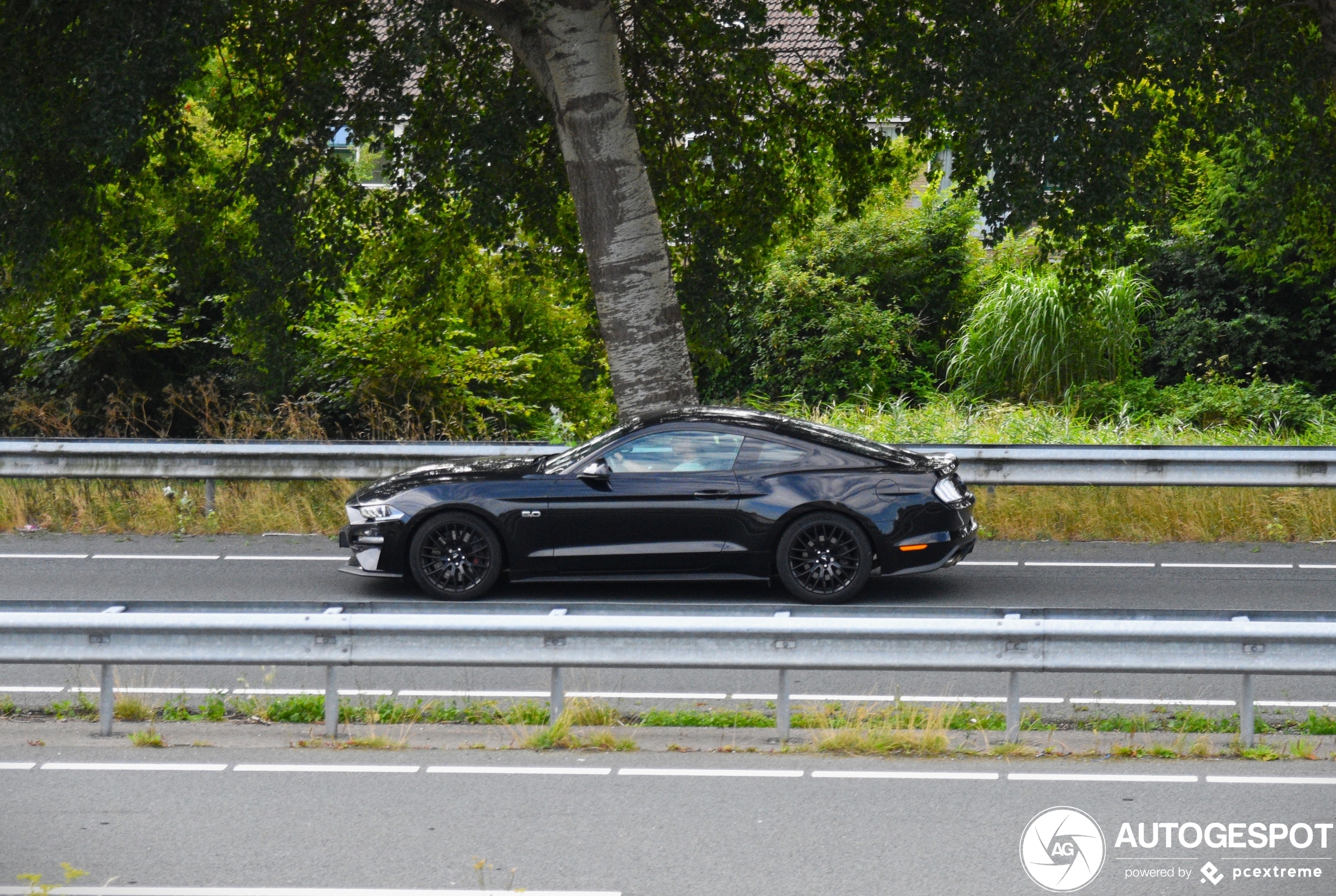 Ford Mustang GT 2018