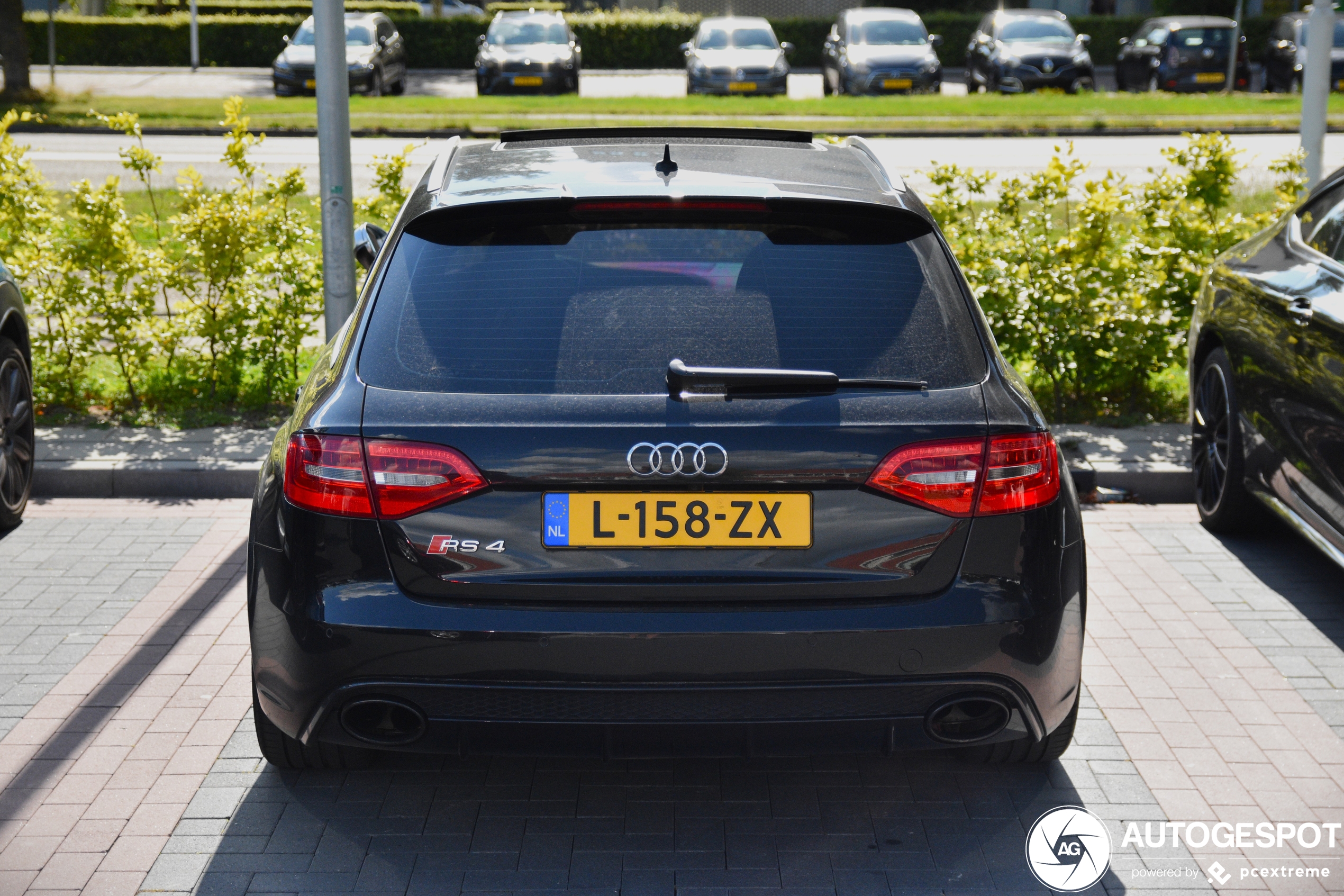 Audi RS4 Avant B8