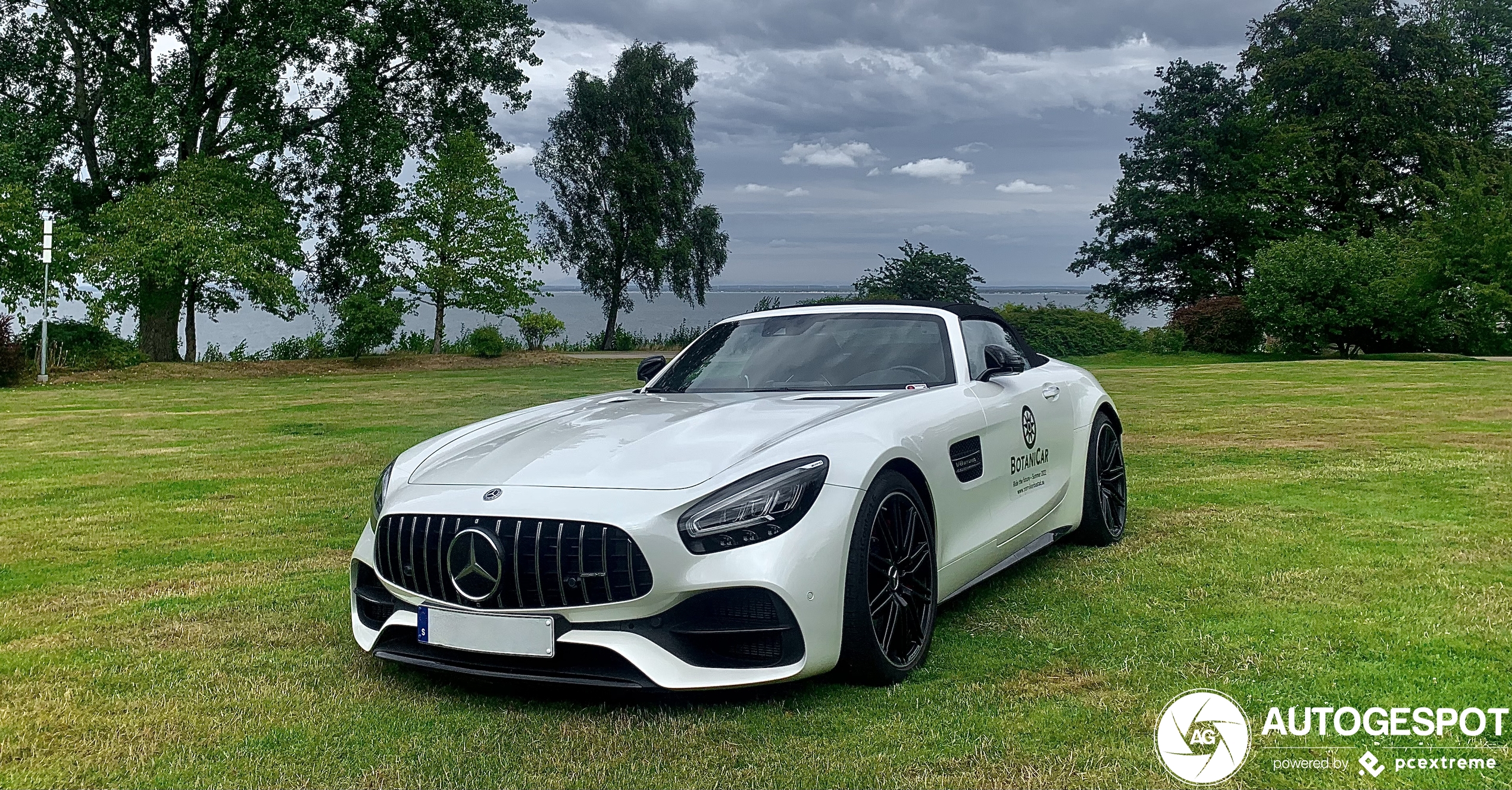 Mercedes-AMG GT C Roadster R190 2019