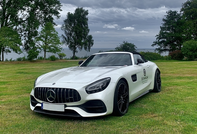 Mercedes-AMG GT C Roadster R190 2019