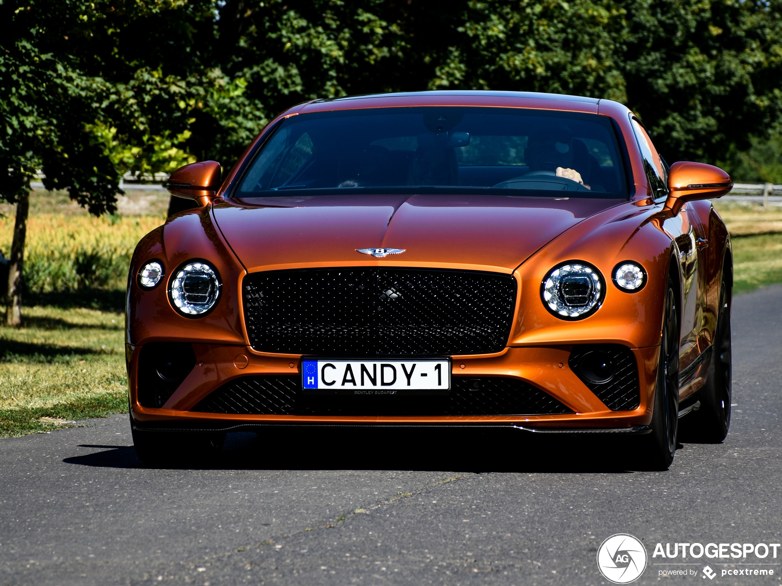 Bentley Continental GT Speed 2021