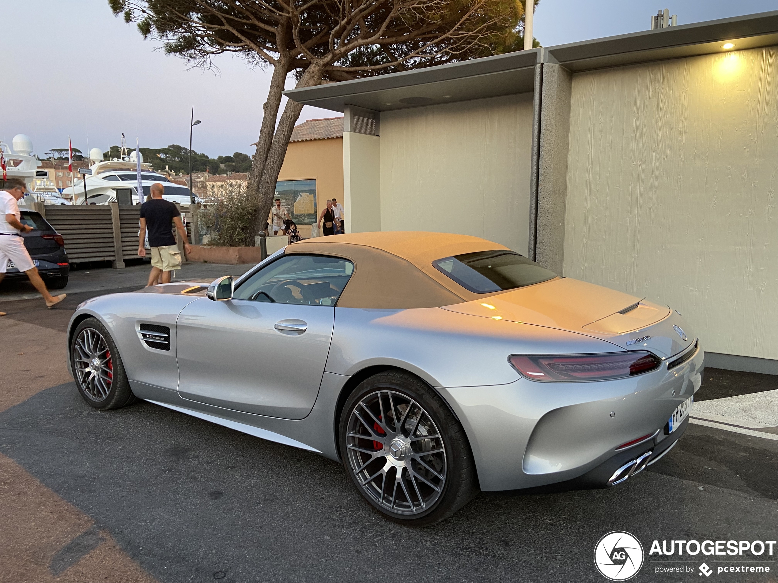 Mercedes-AMG GT C Roadster R190 2019