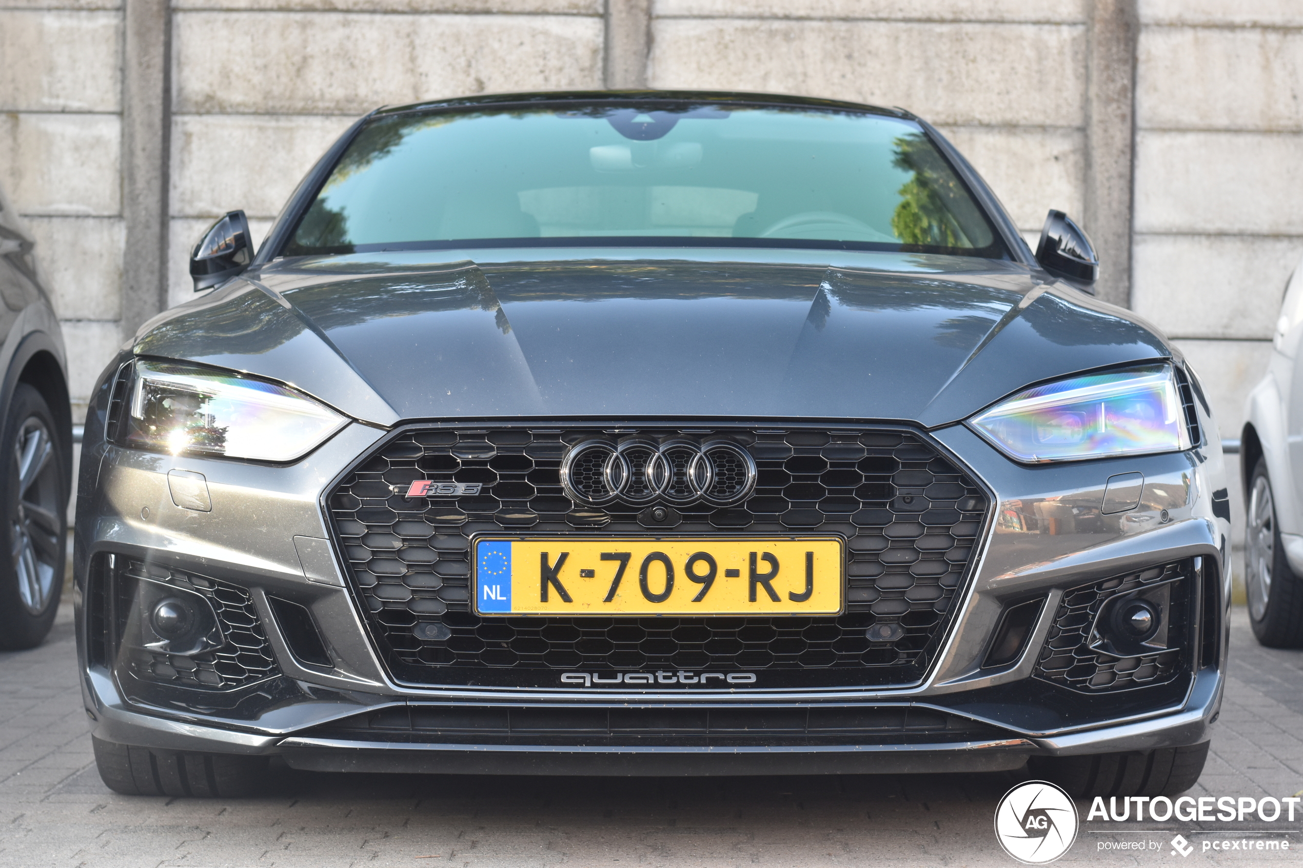 Audi RS5 Sportback B9