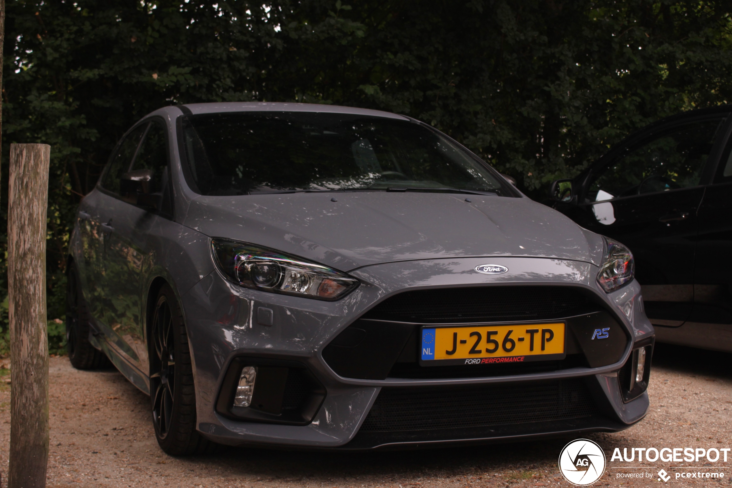 Ford Focus RS 2015