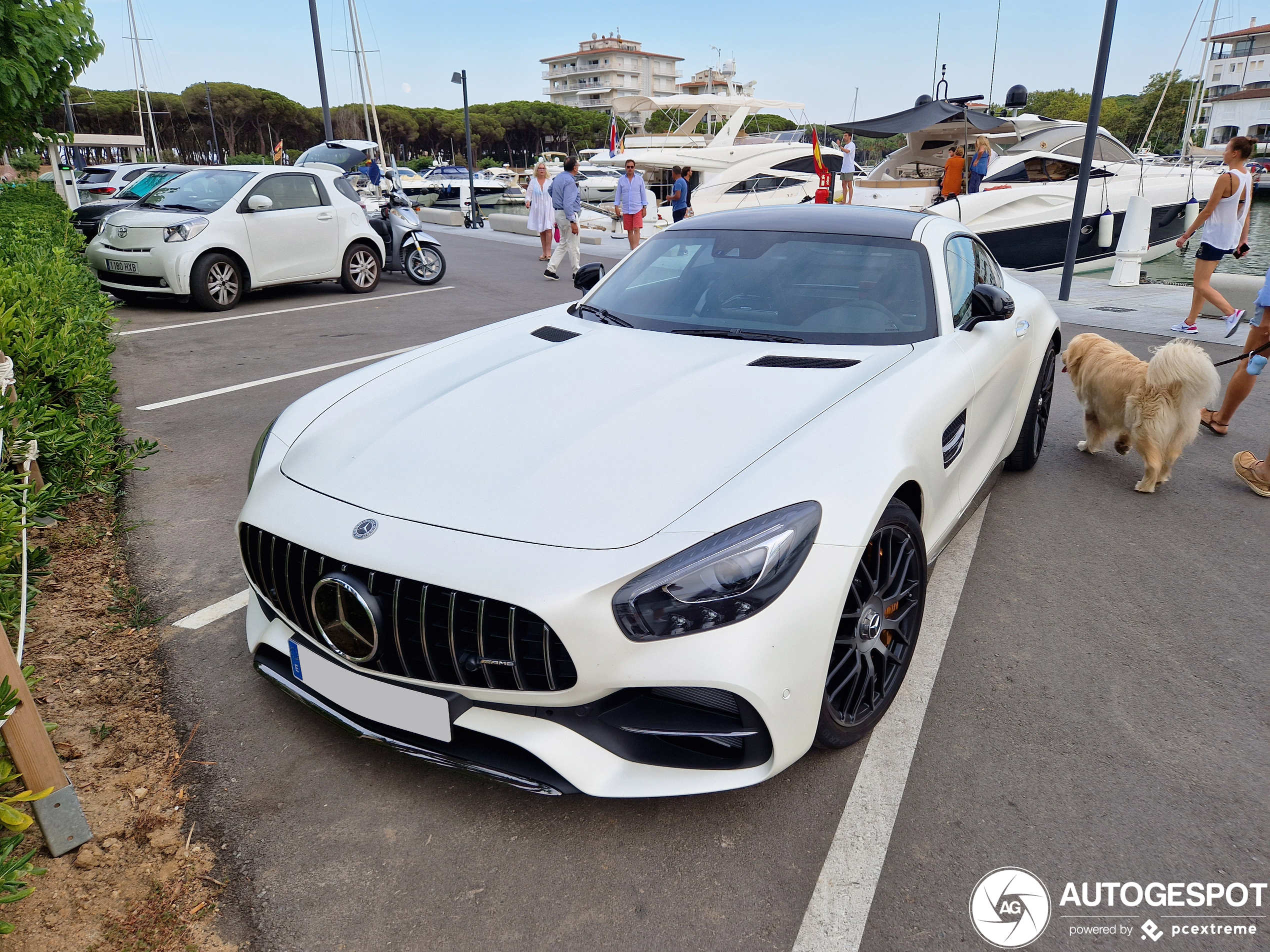 Mercedes-AMG GT C Edition 50 C190 2017