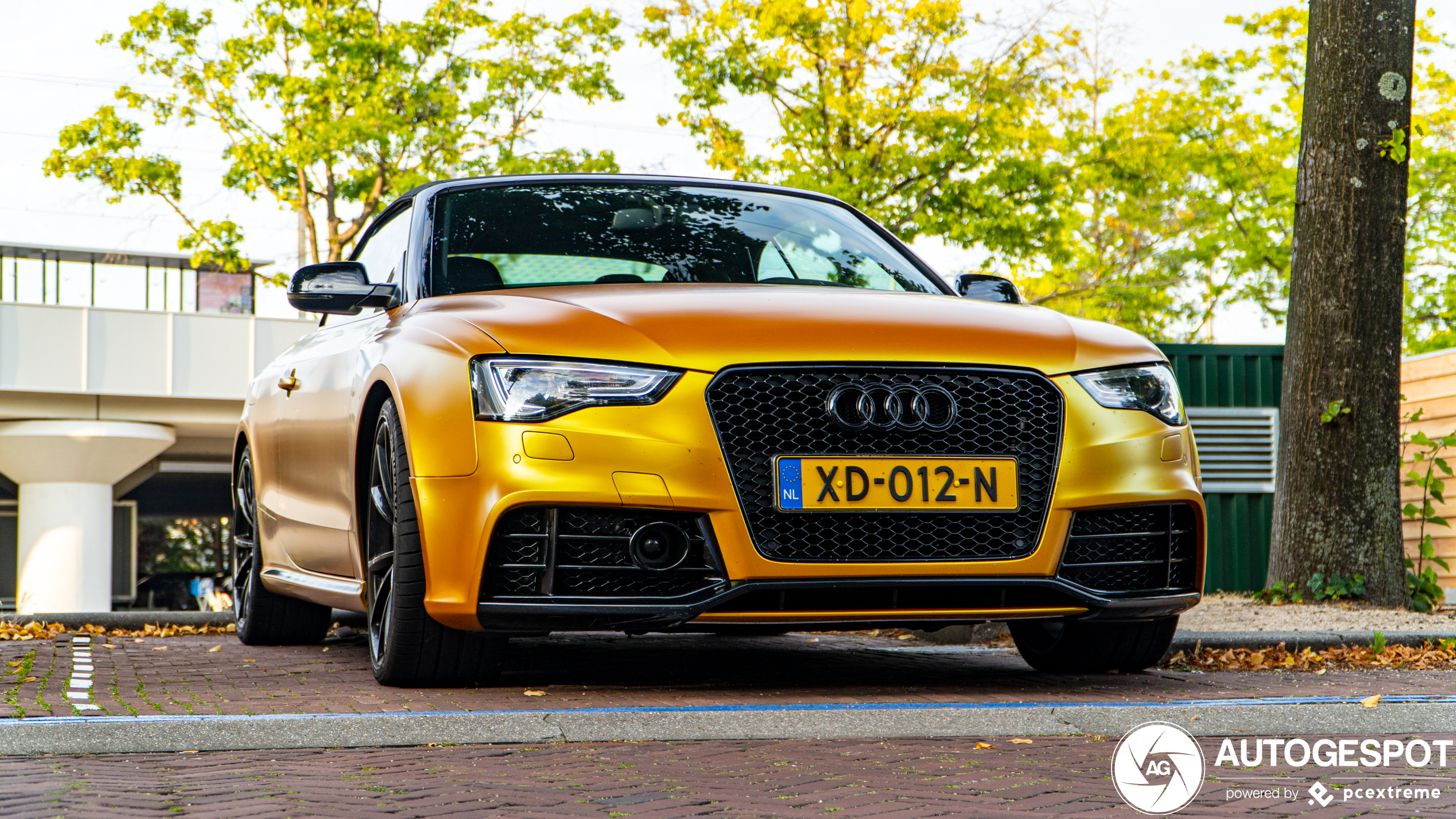 Audi RS5 Cabriolet B8