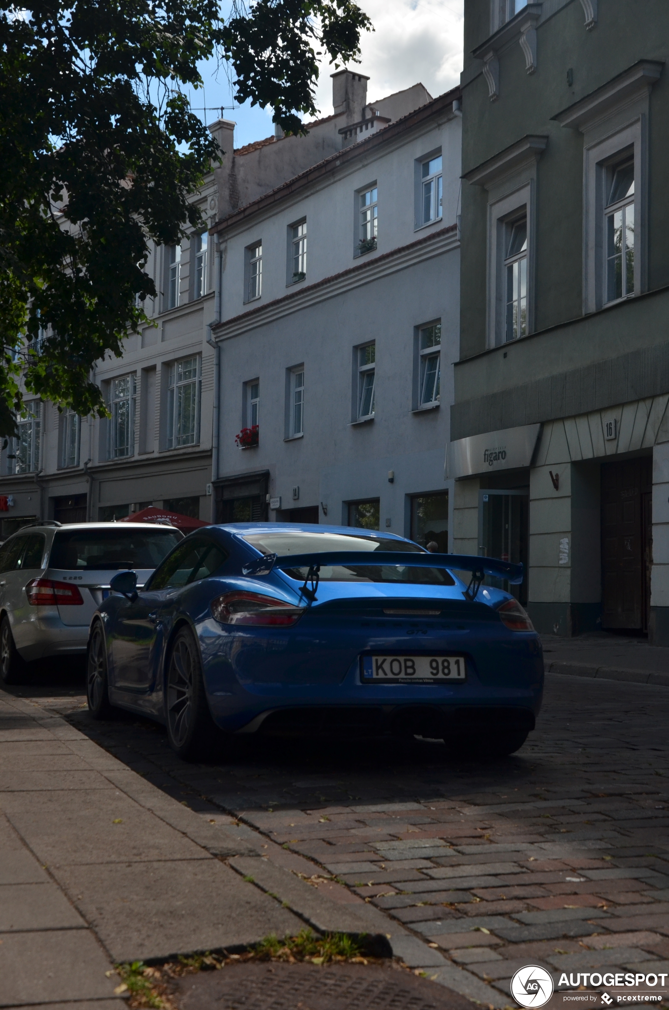 Porsche 981 Cayman GT4