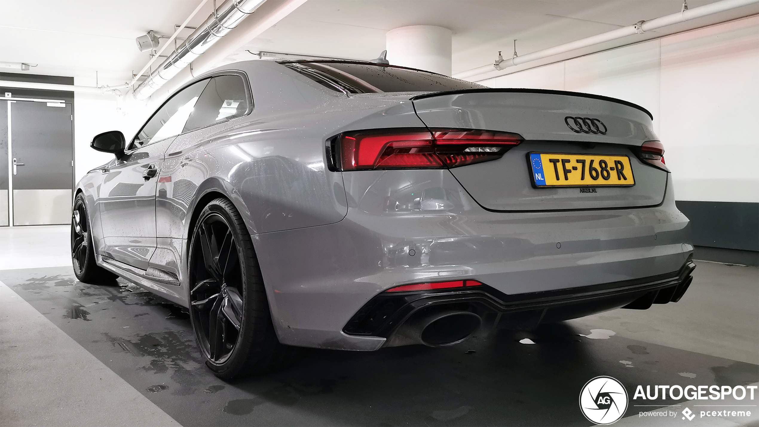 Audi RS5 B9