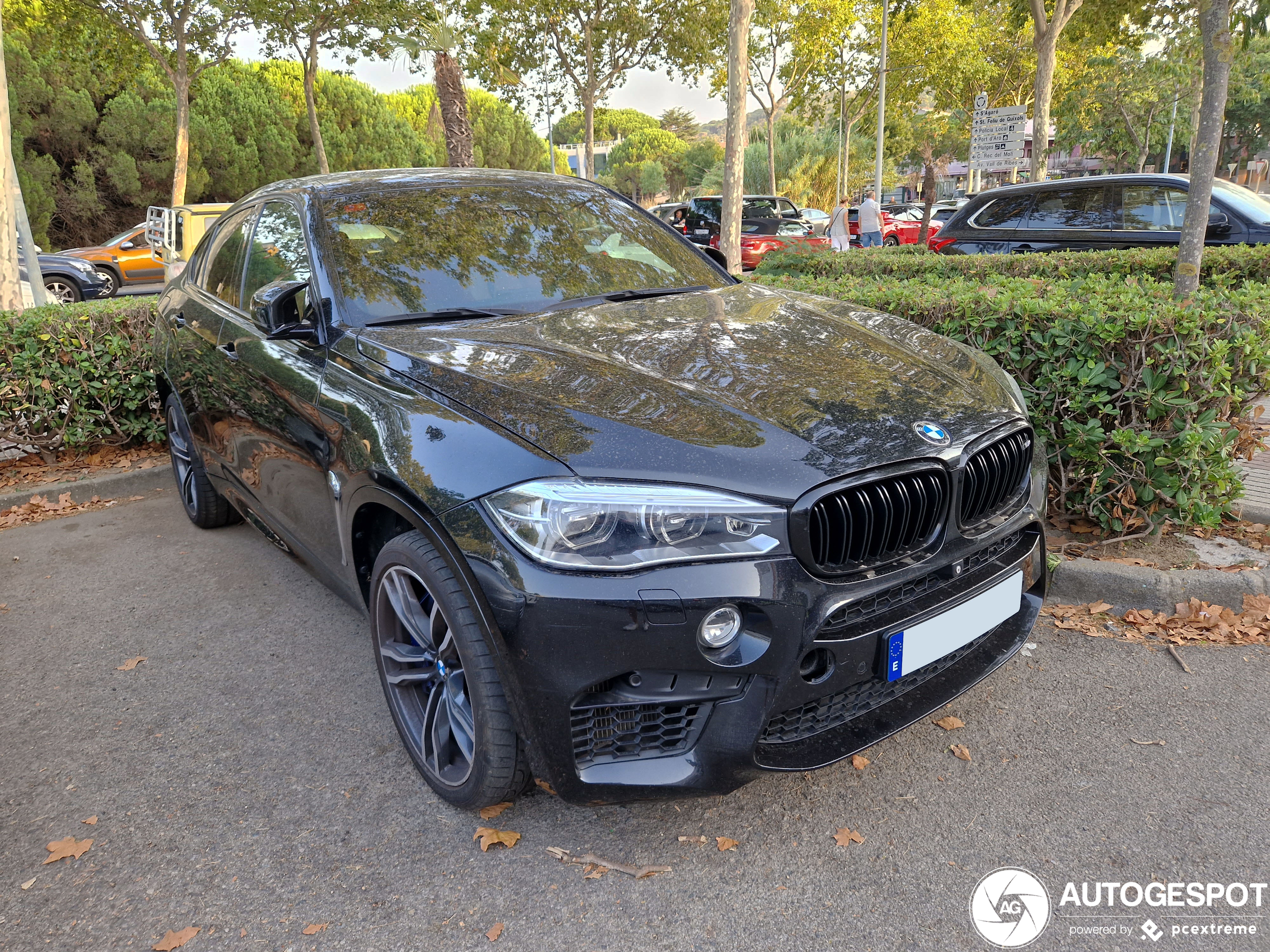 BMW X6 M F86