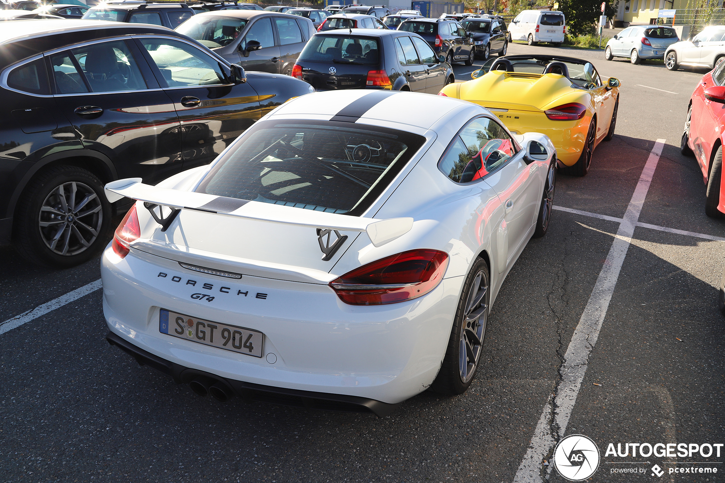 Porsche 981 Cayman GT4