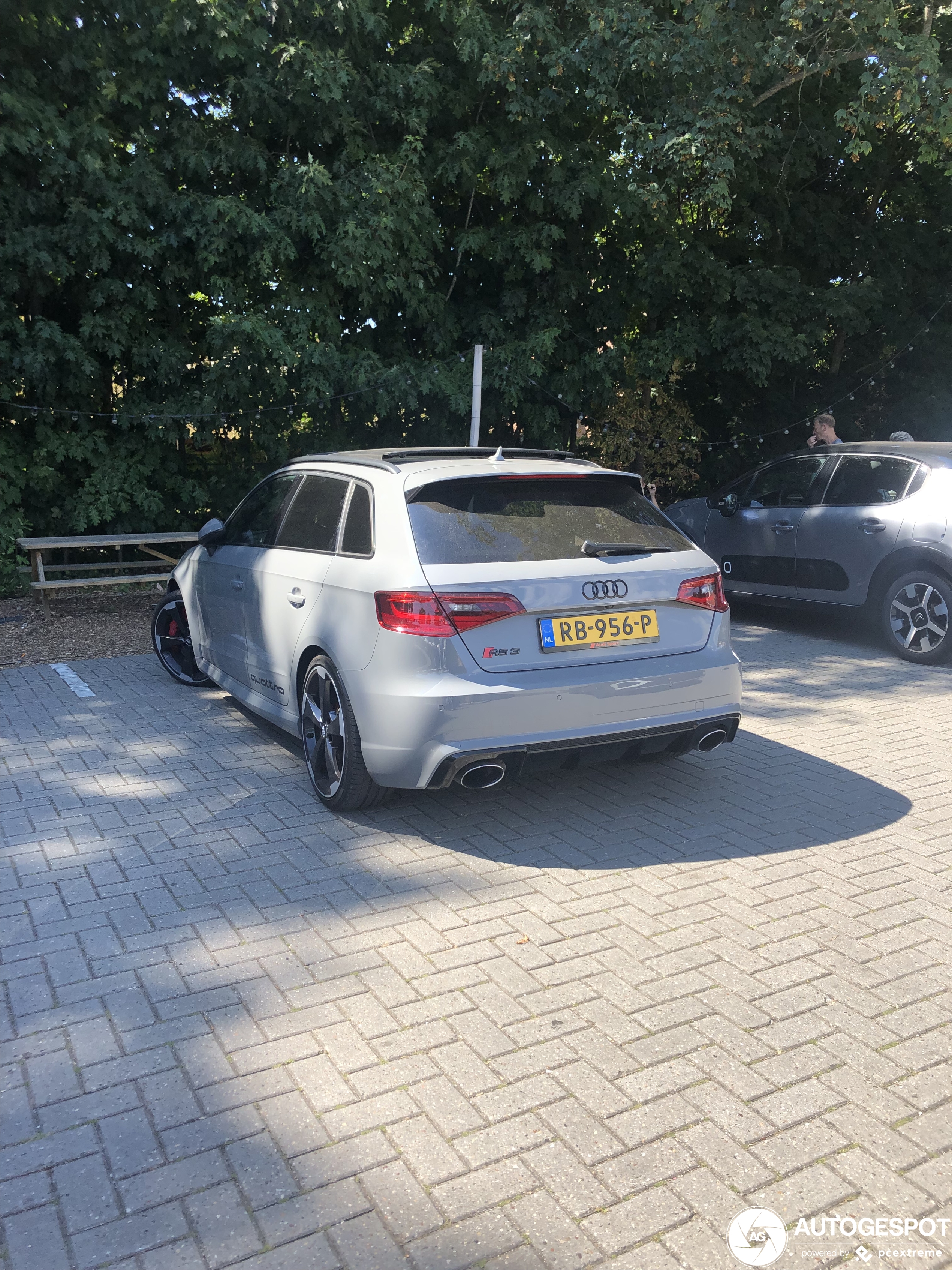 Audi RS3 Sportback 8V