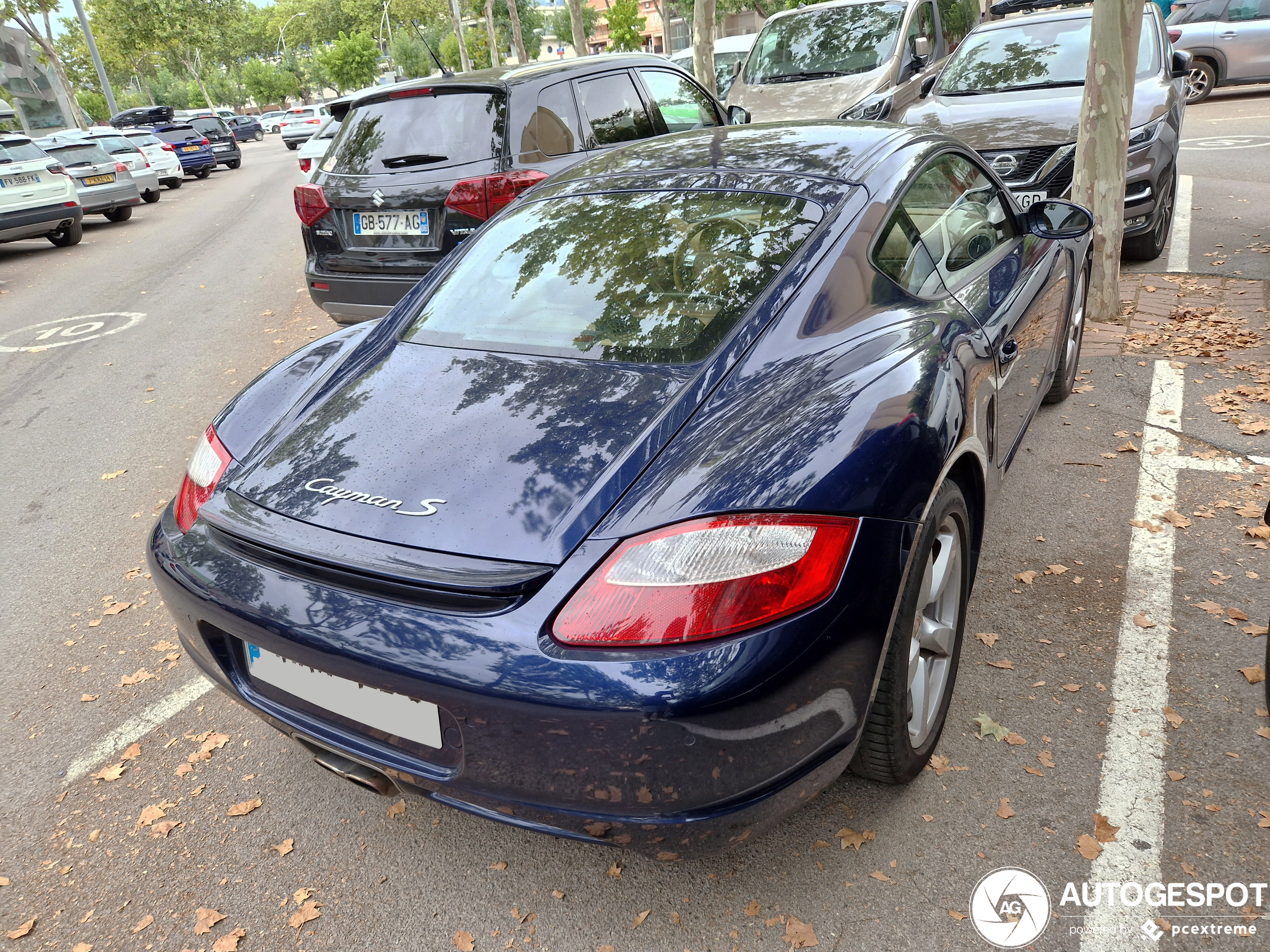 Porsche 987 Cayman S