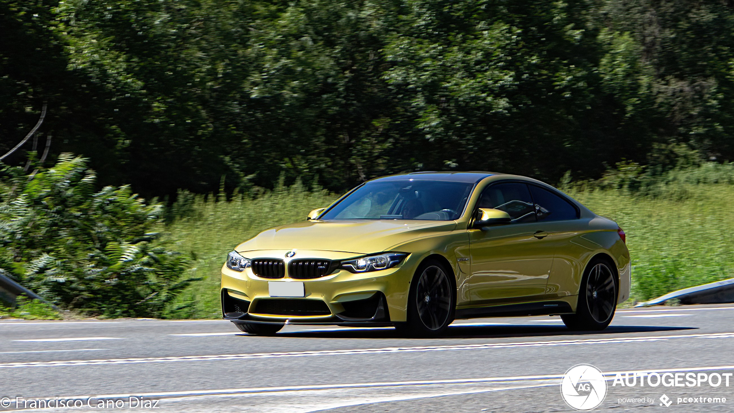 BMW M4 F82 Coupé