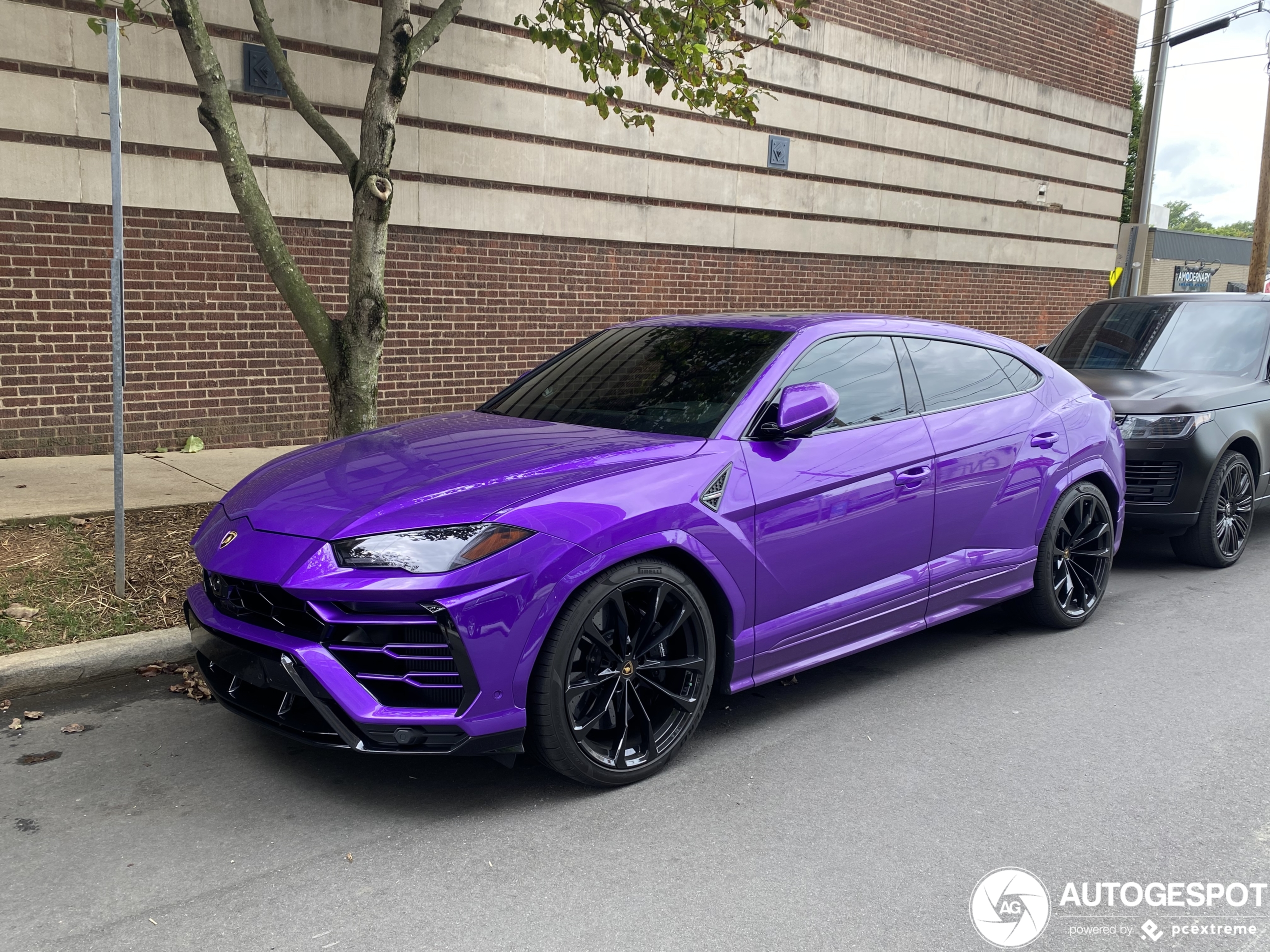 Lamborghini Urus