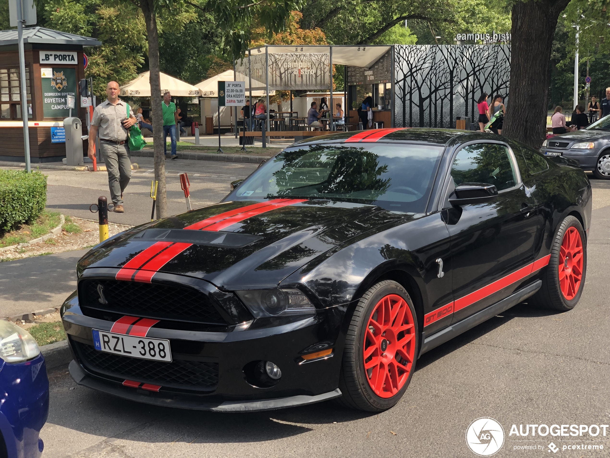 Ford Mustang Shelby GT500 2010