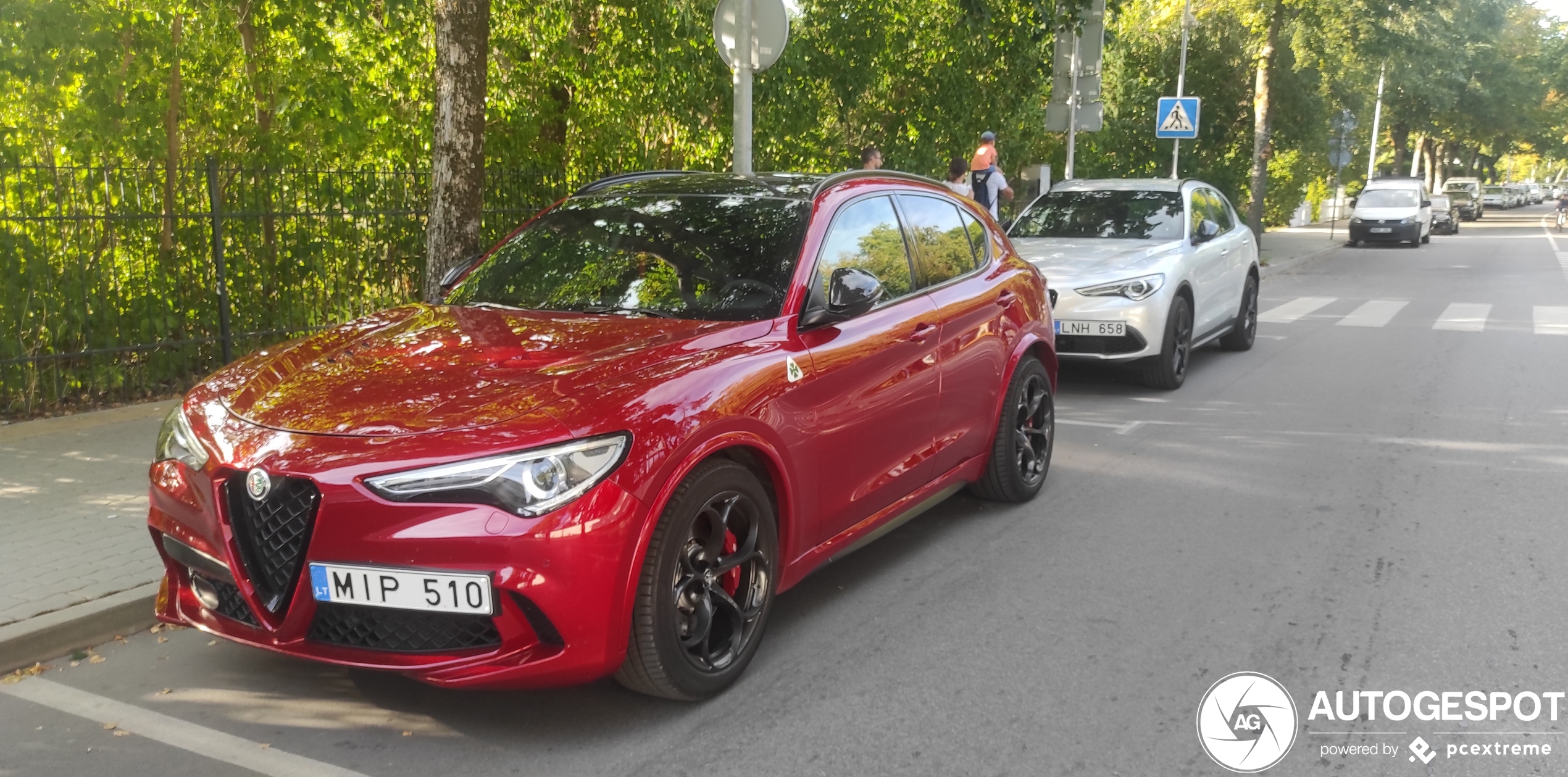 Alfa Romeo Stelvio Quadrifoglio