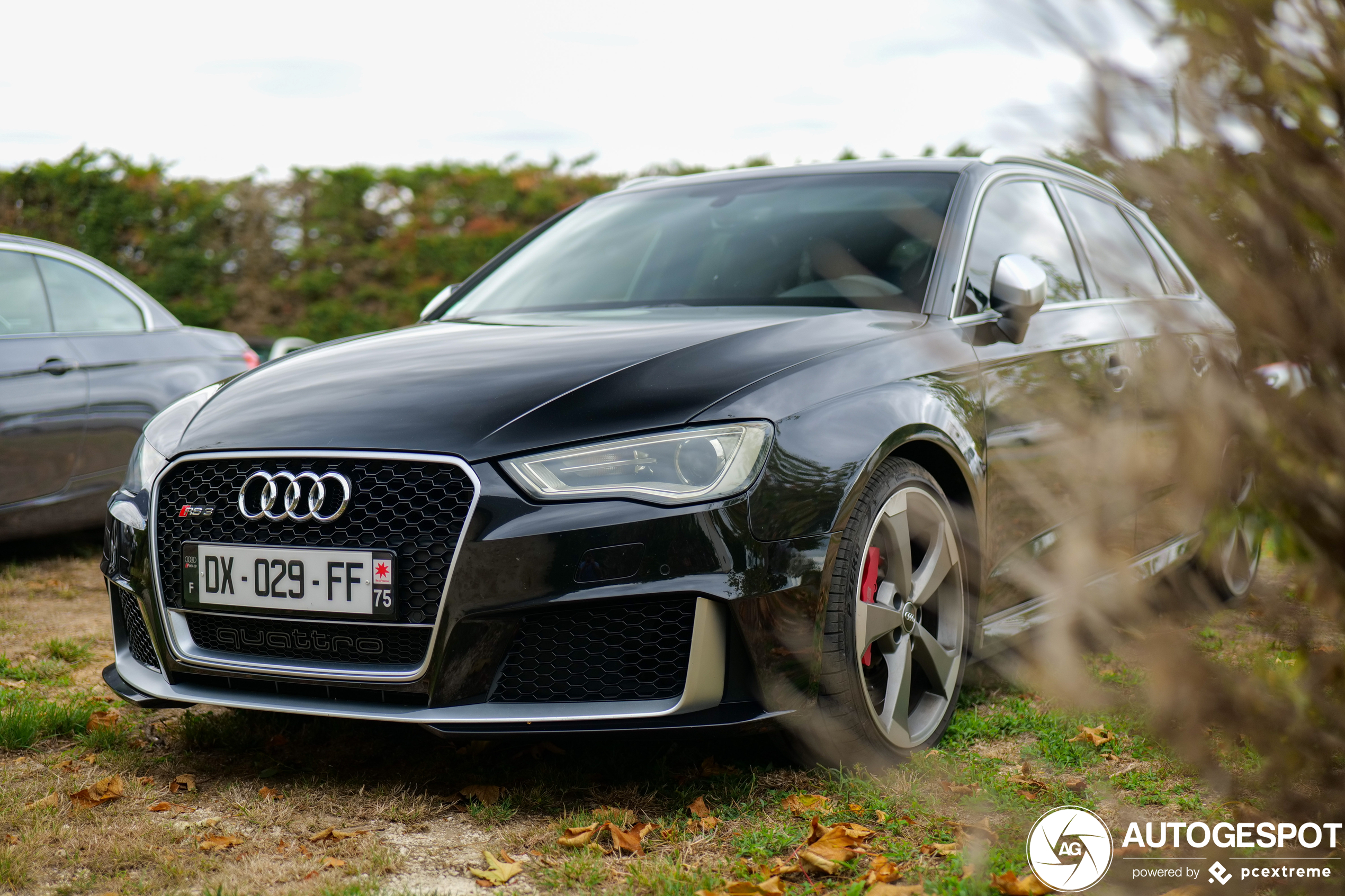 Audi RS3 Sportback 8V