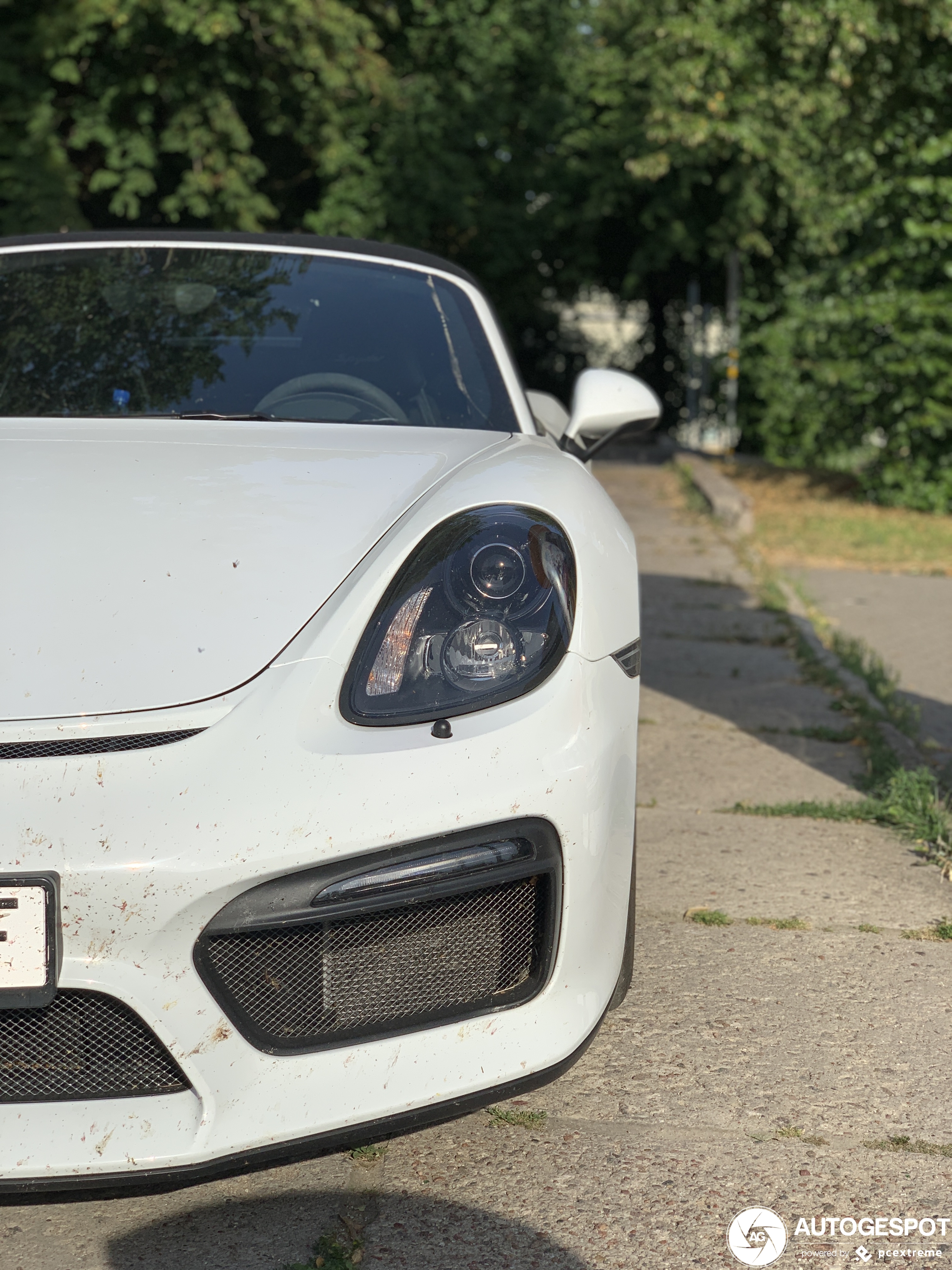 Porsche 981 Boxster Spyder