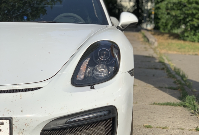 Porsche 981 Boxster Spyder