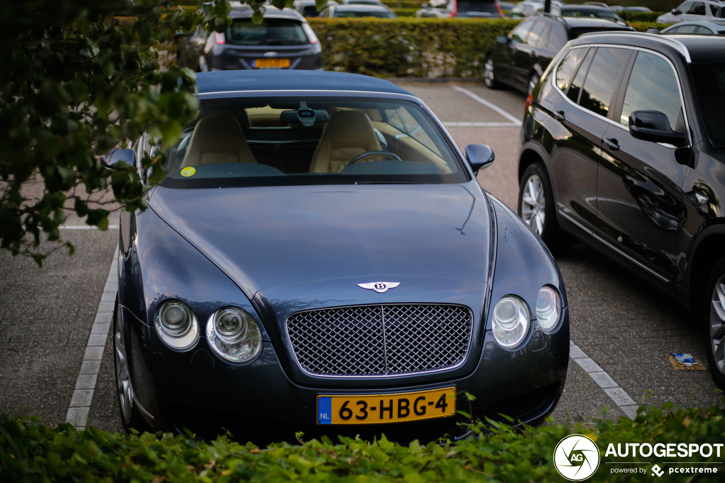 Bentley Continental GTC