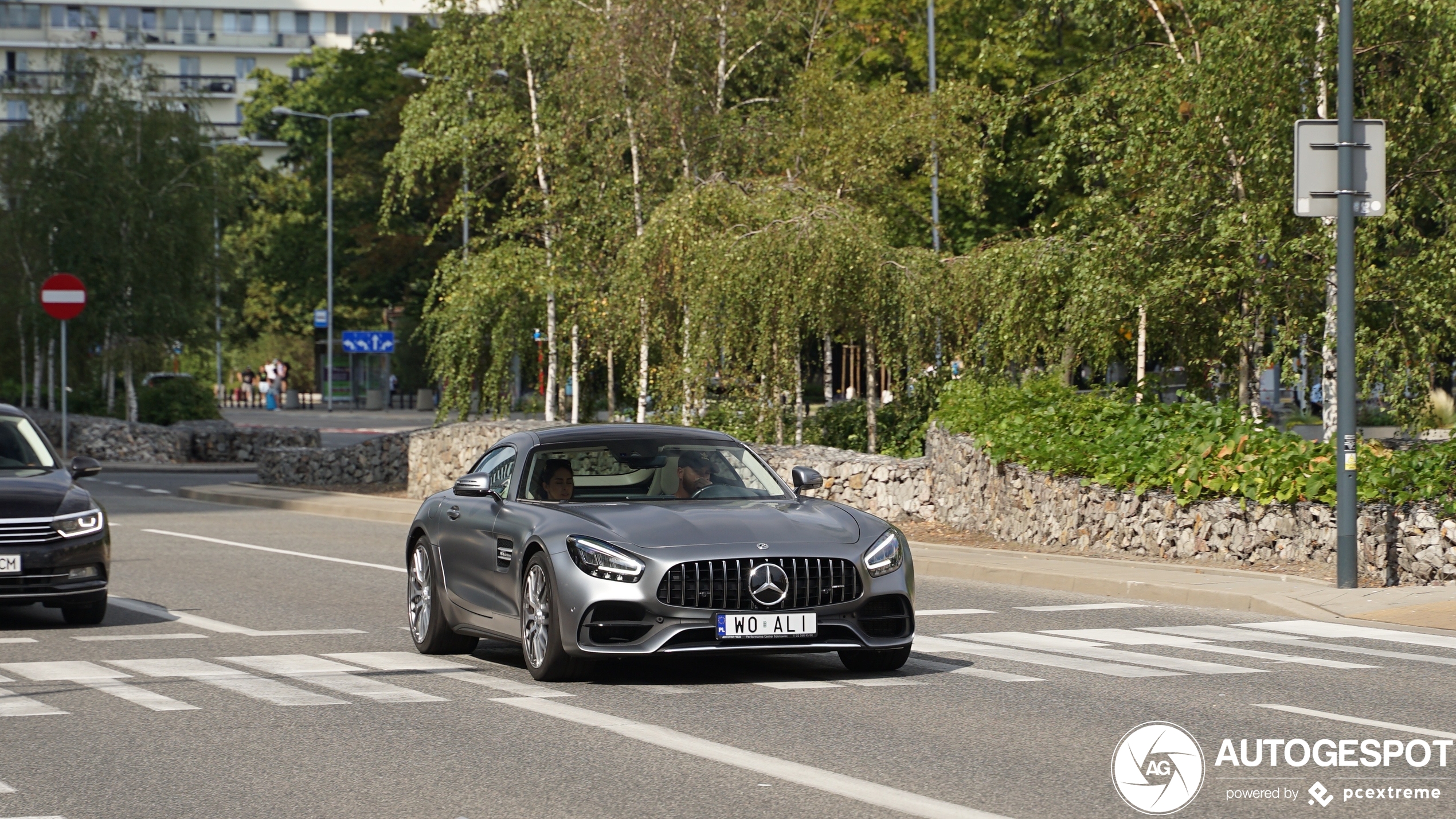 Mercedes-AMG GT C190 2019