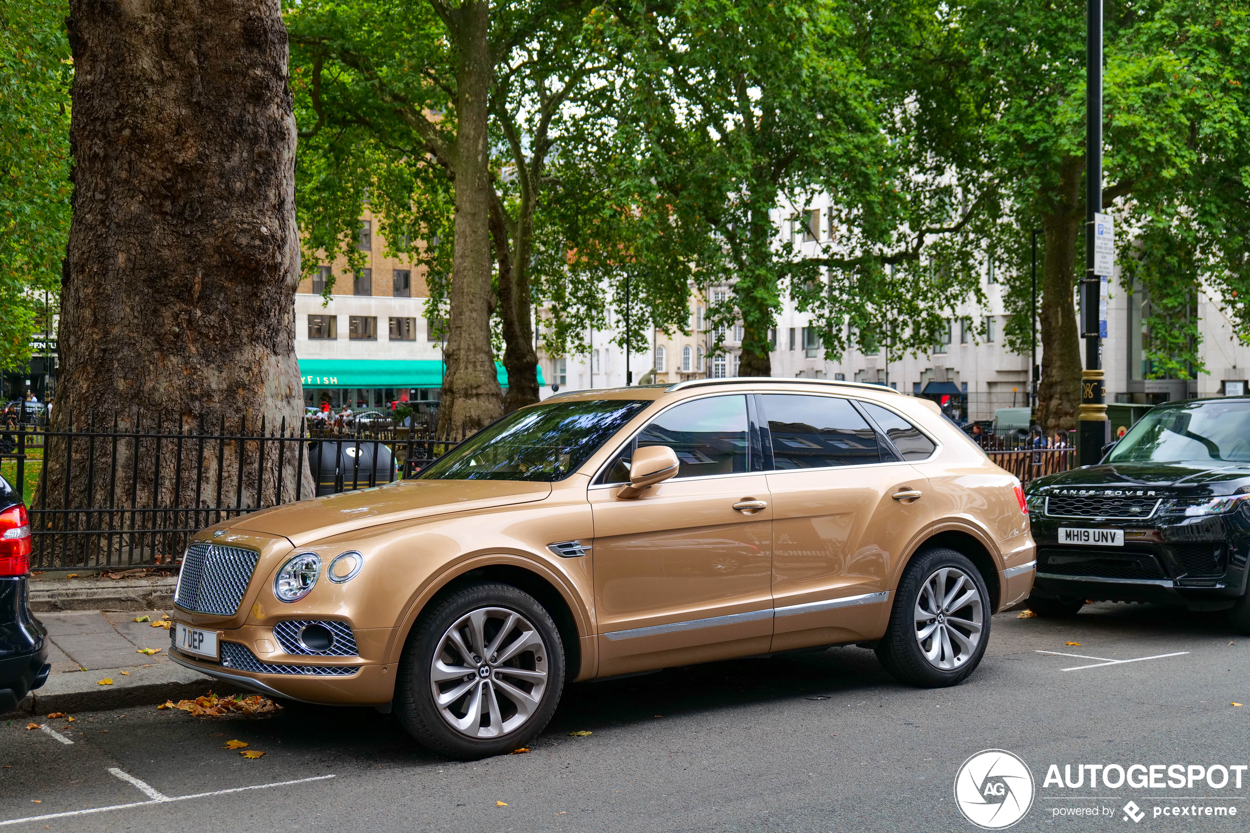 Bentley Bentayga