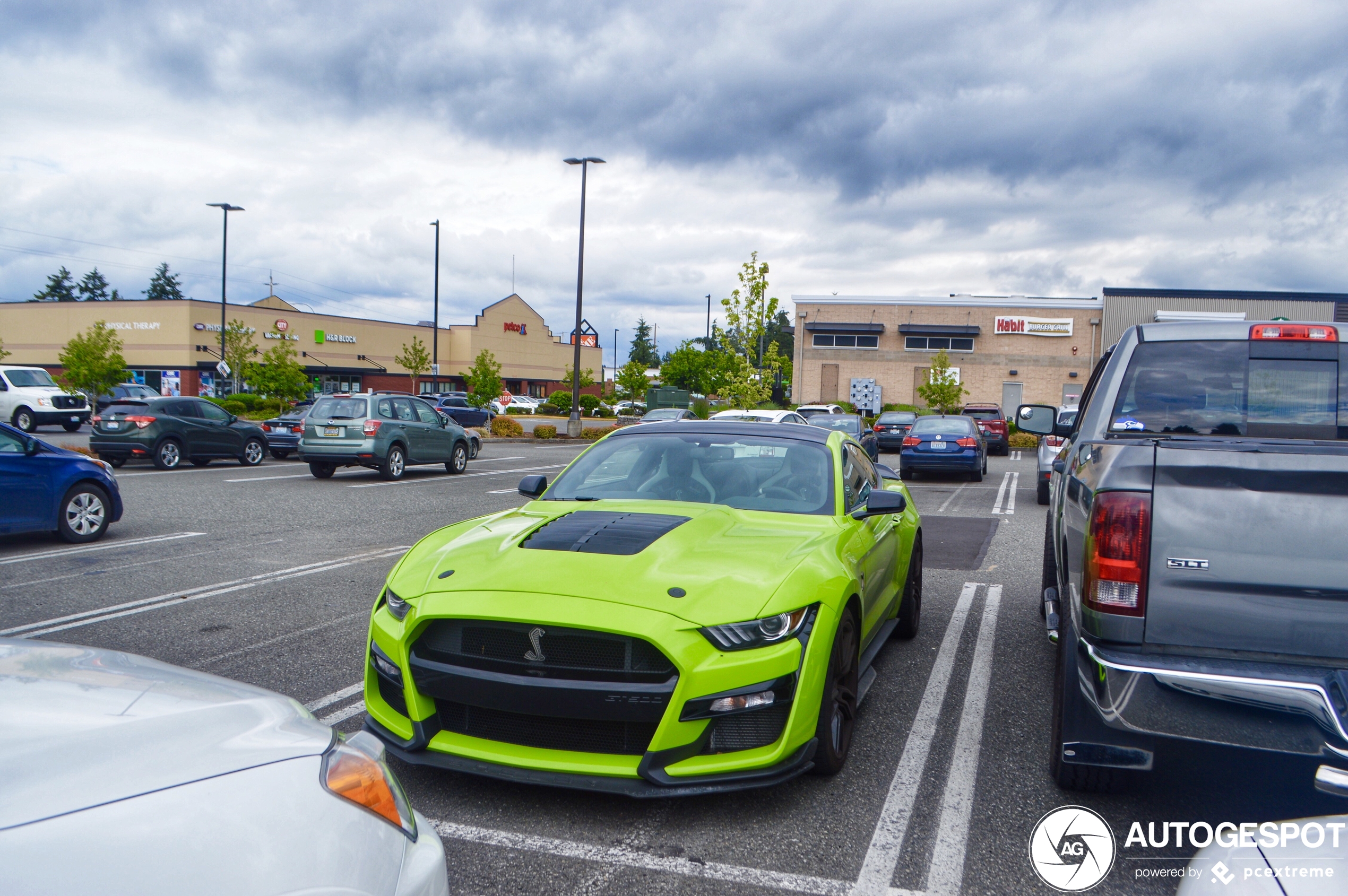 Ford Mustang Shelby GT500 2020