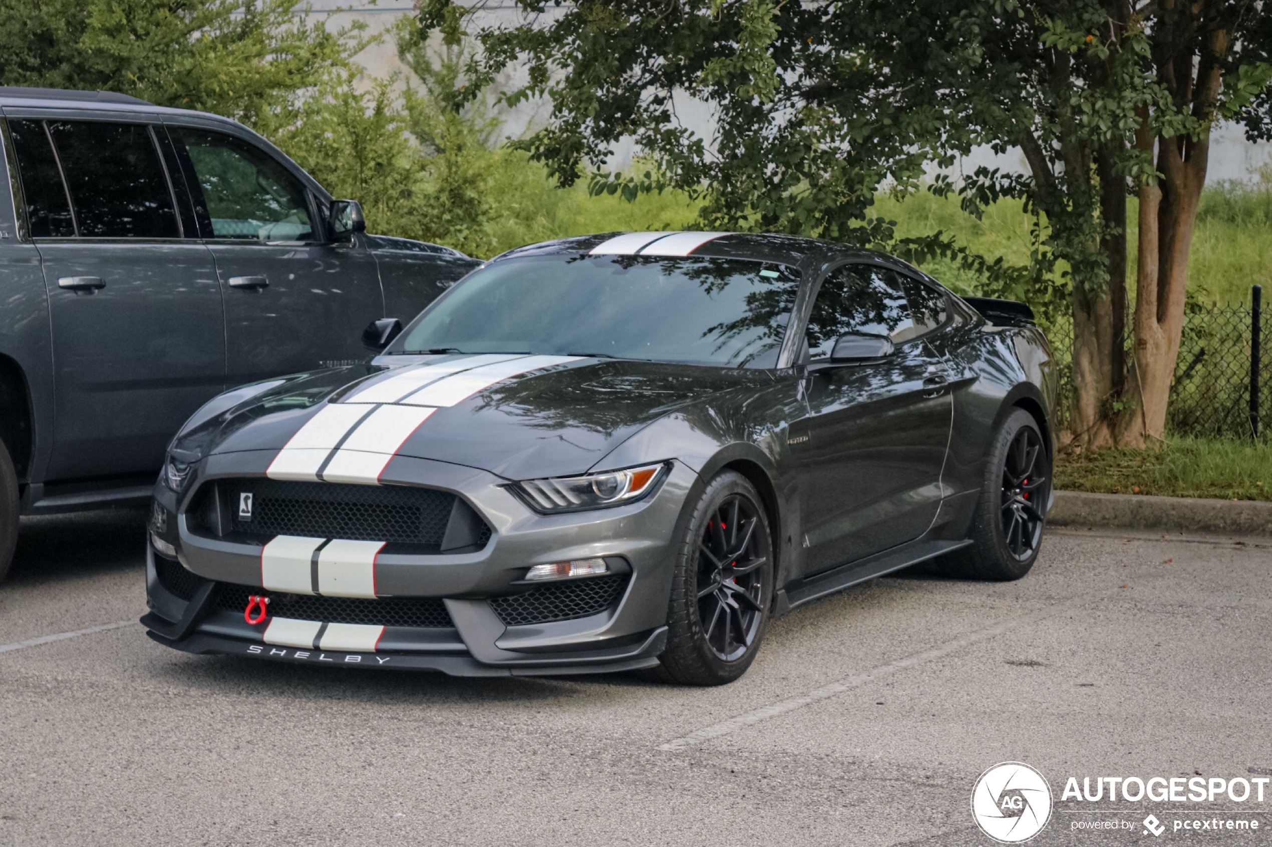 Ford Mustang Shelby GT350 2015