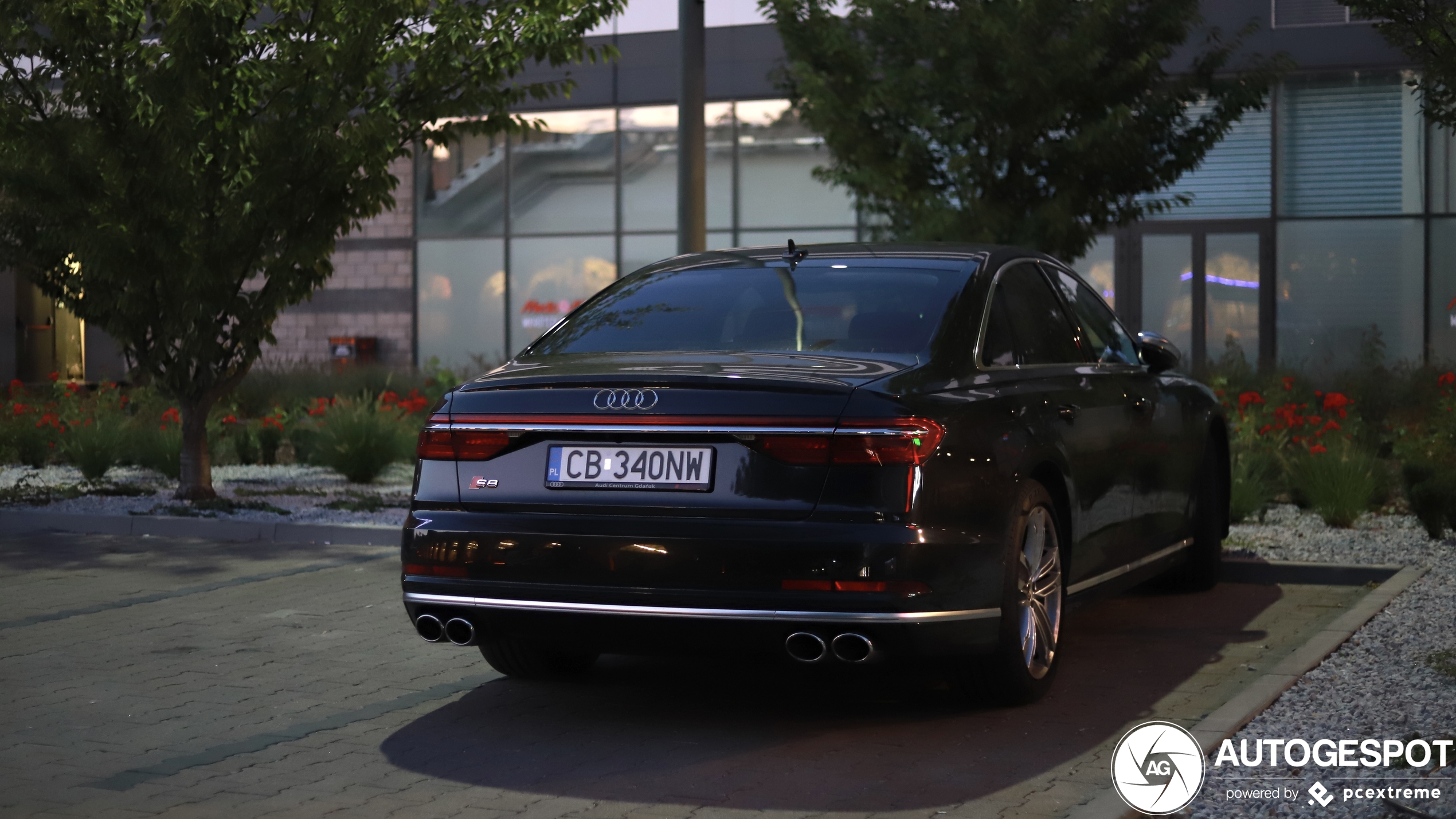 Audi S8 D5