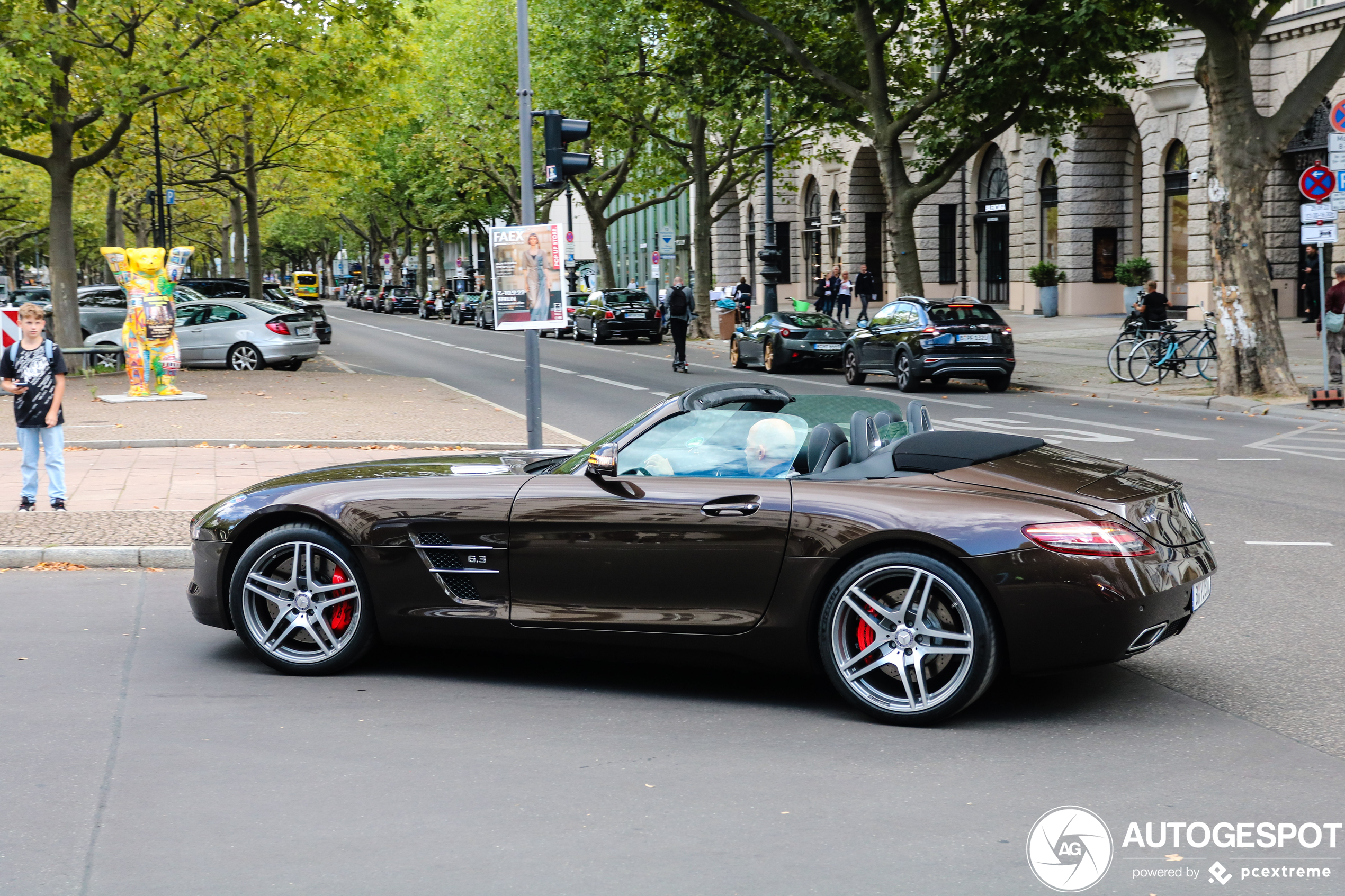 Mercedes-Benz SLS AMG Roadster