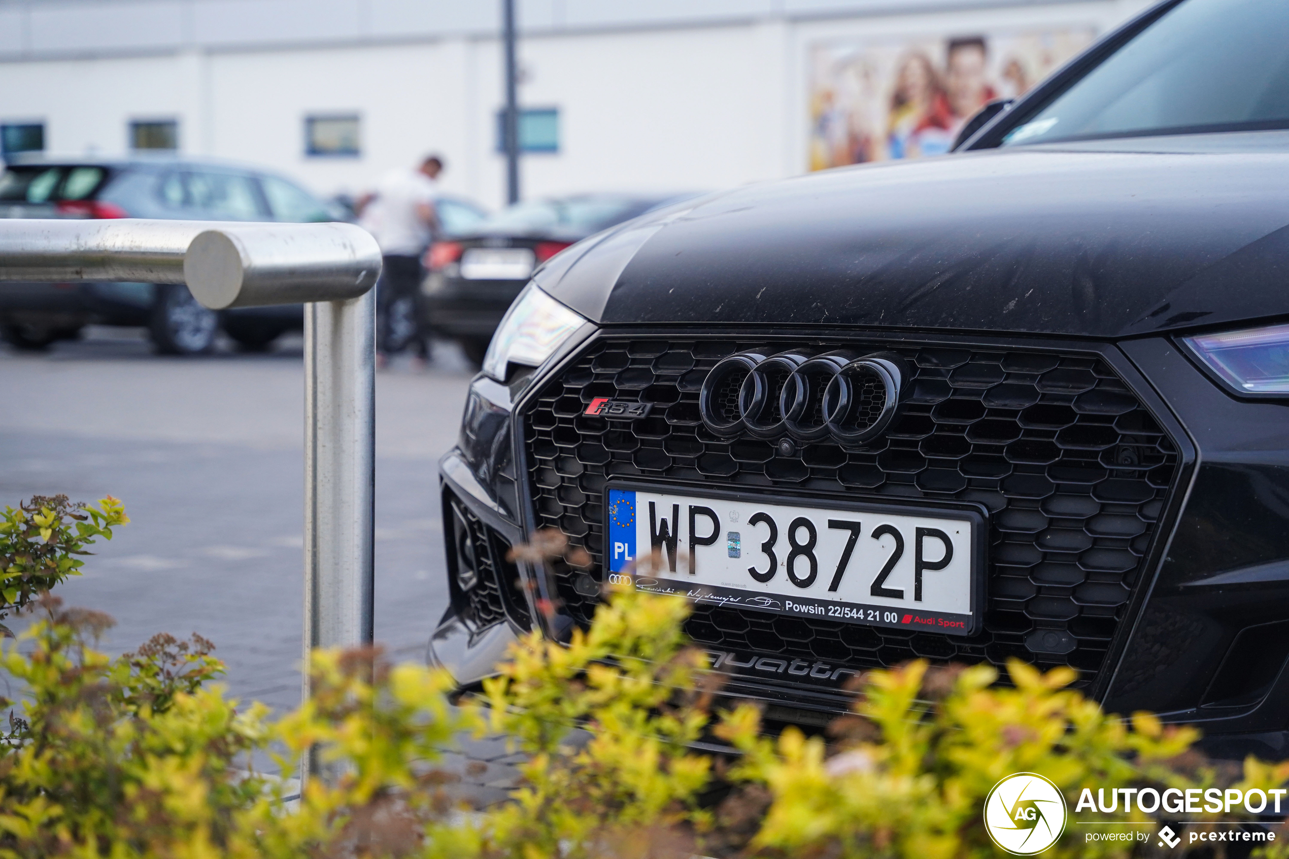 Audi RS4 Avant B9