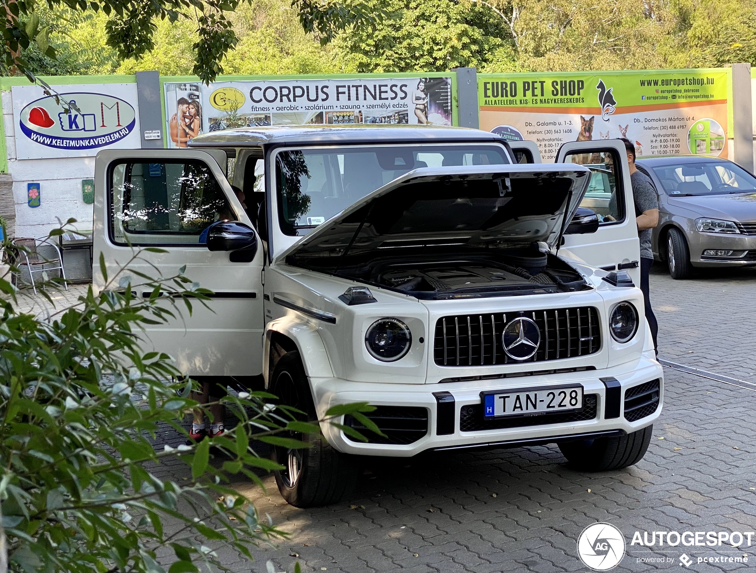 Mercedes-AMG G 63 W463 2018