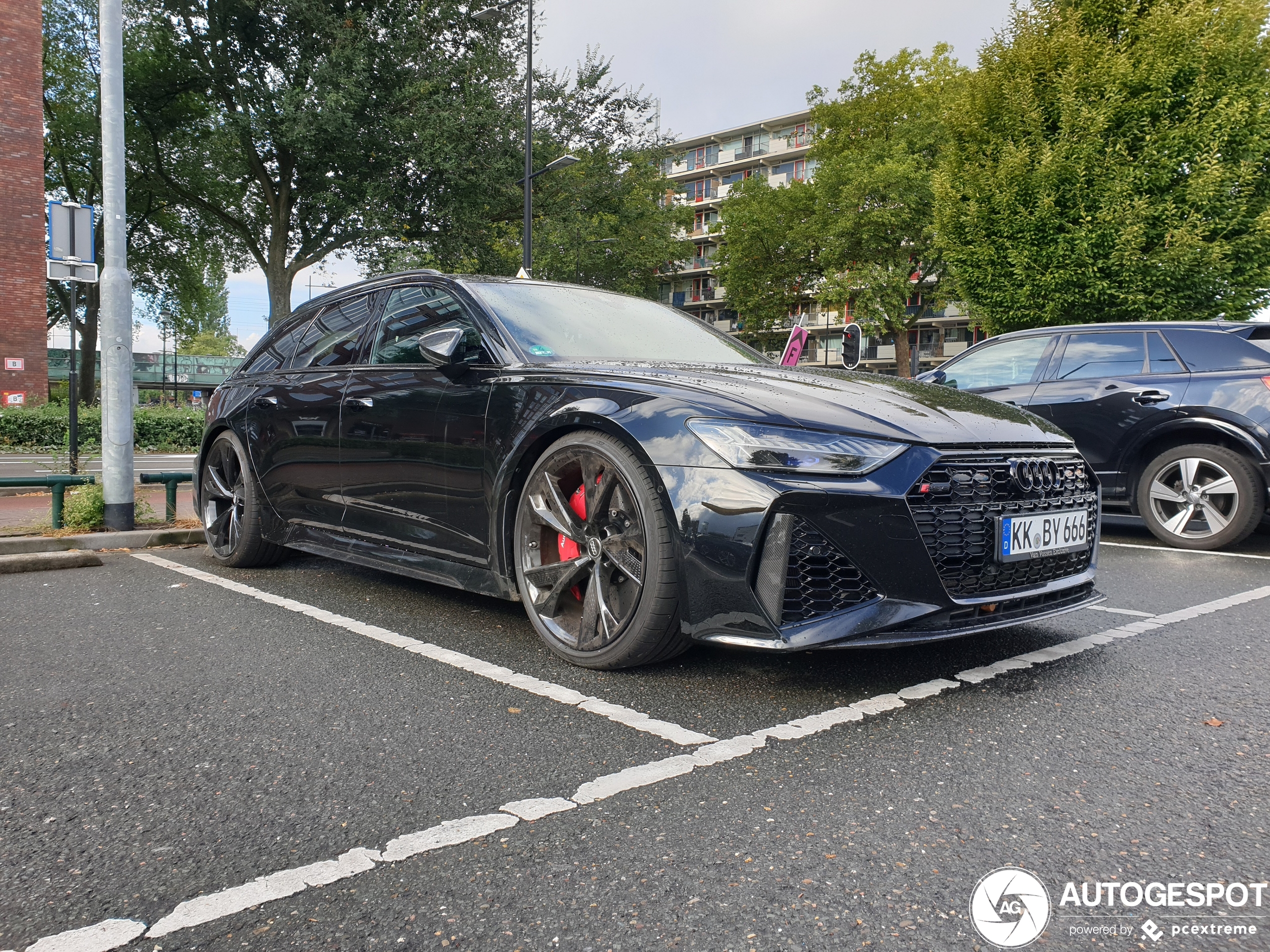 Audi RS6 Avant C8