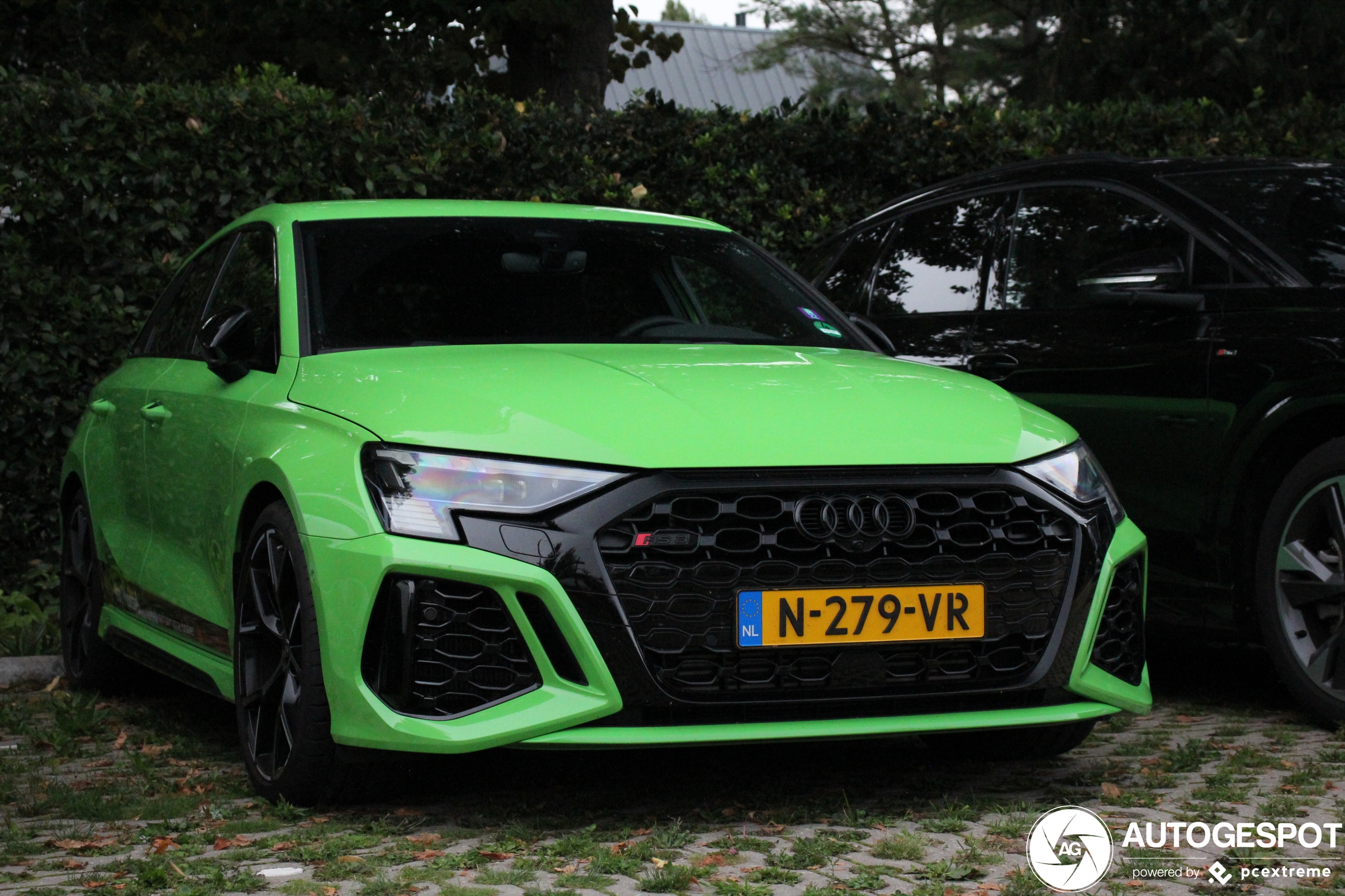 Audi RS3 Sportback 8Y