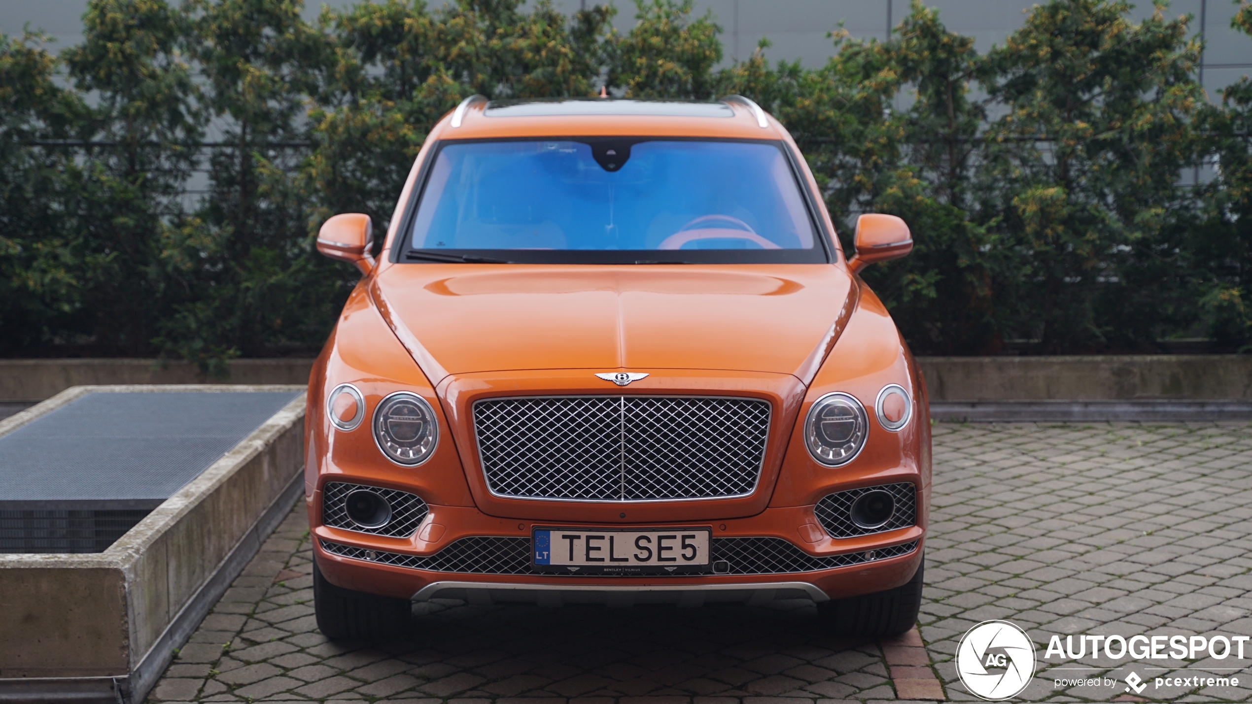 Bentley Bentayga V8