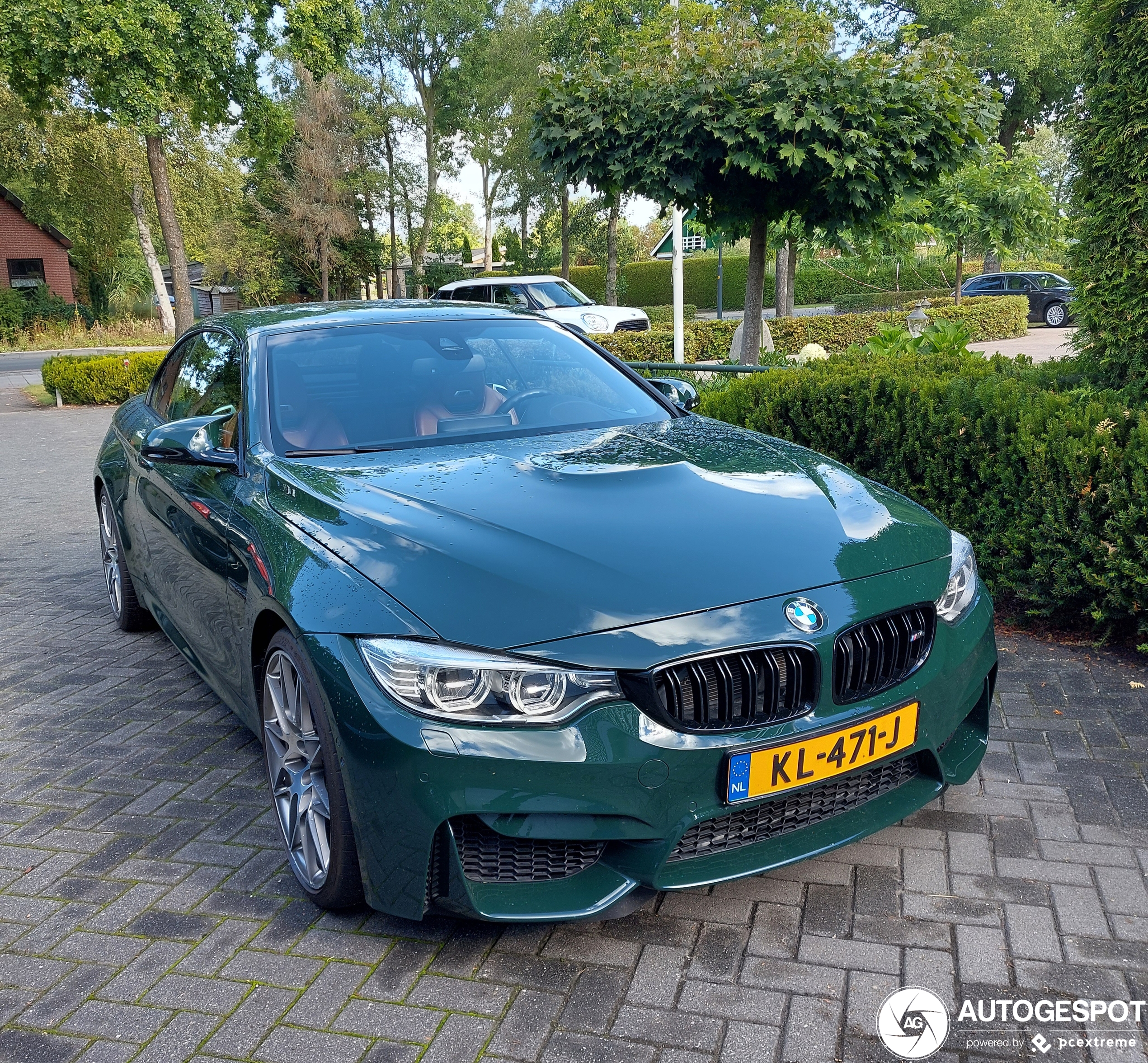 BMW M4 F83 Convertible