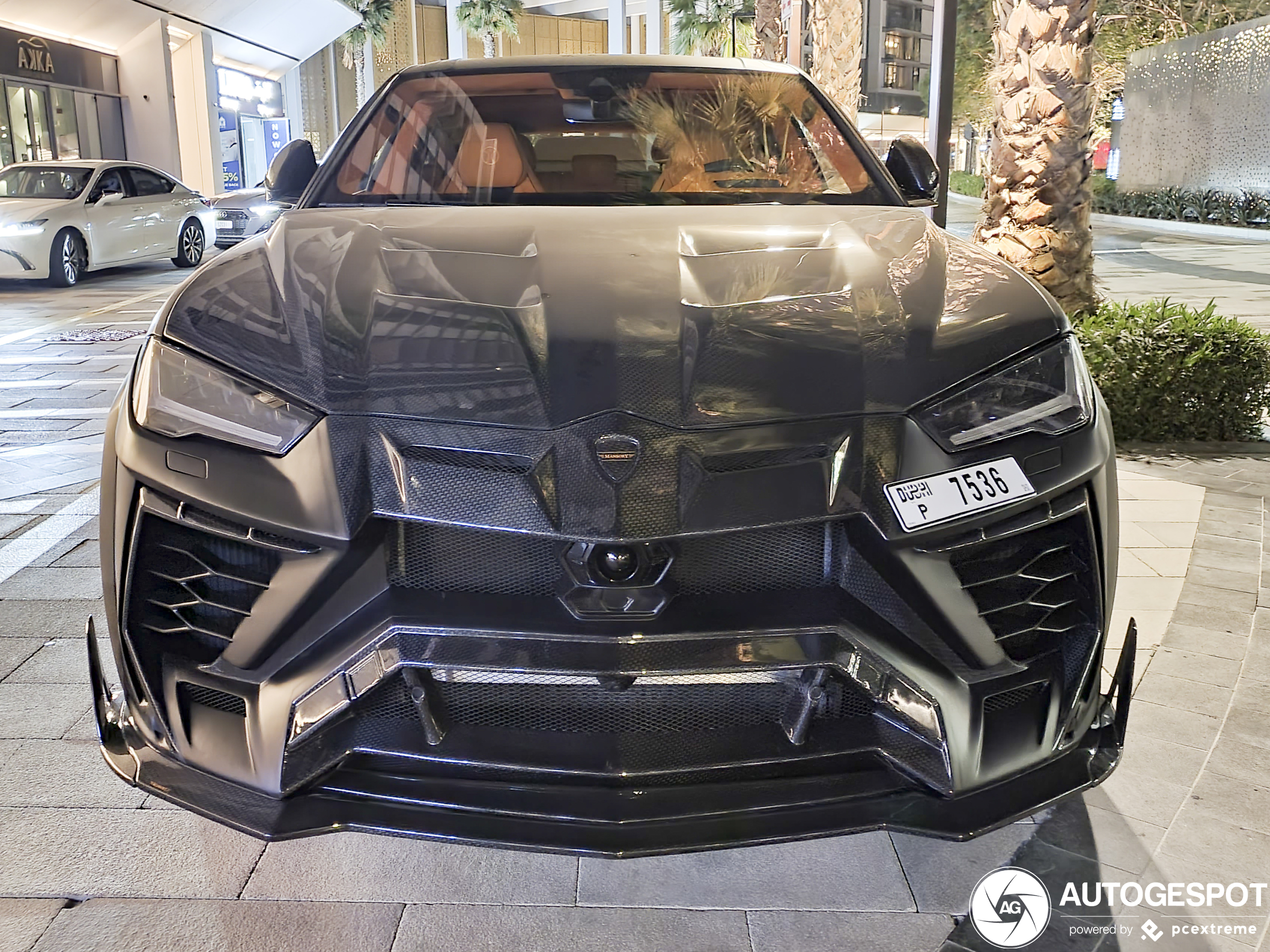 Lamborghini Urus Mansory Venatus