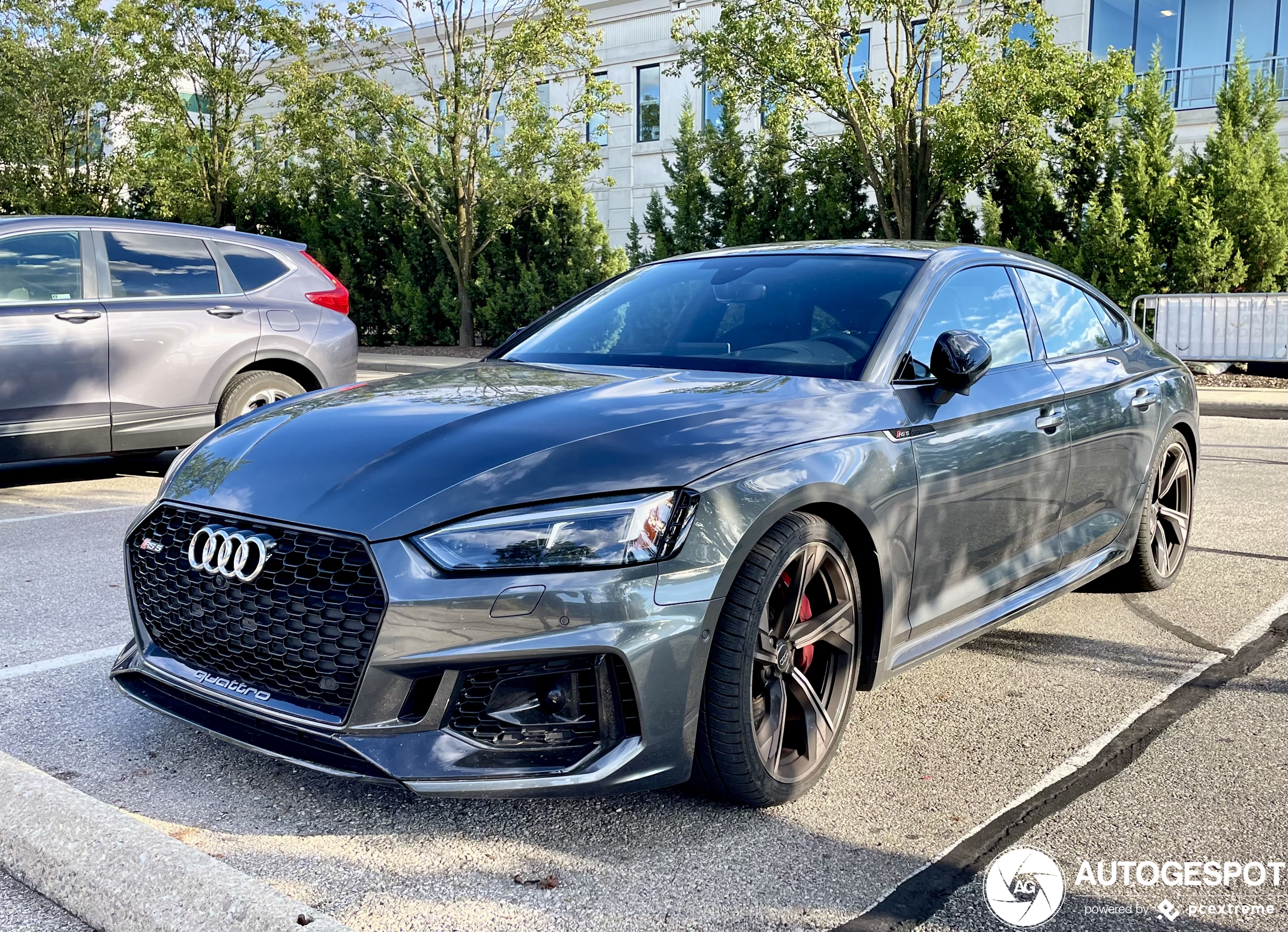 Audi RS5 Sportback B9