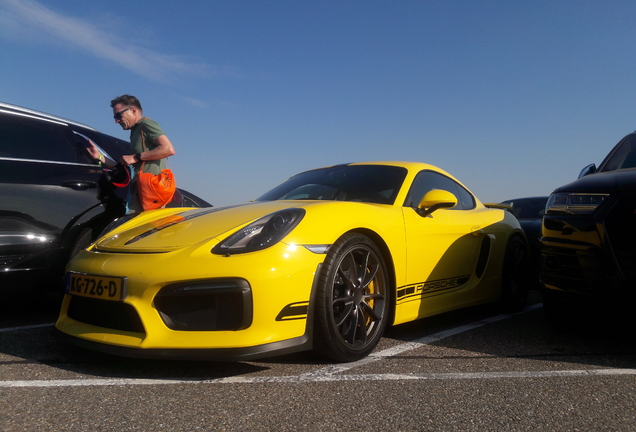 Porsche 981 Cayman GT4