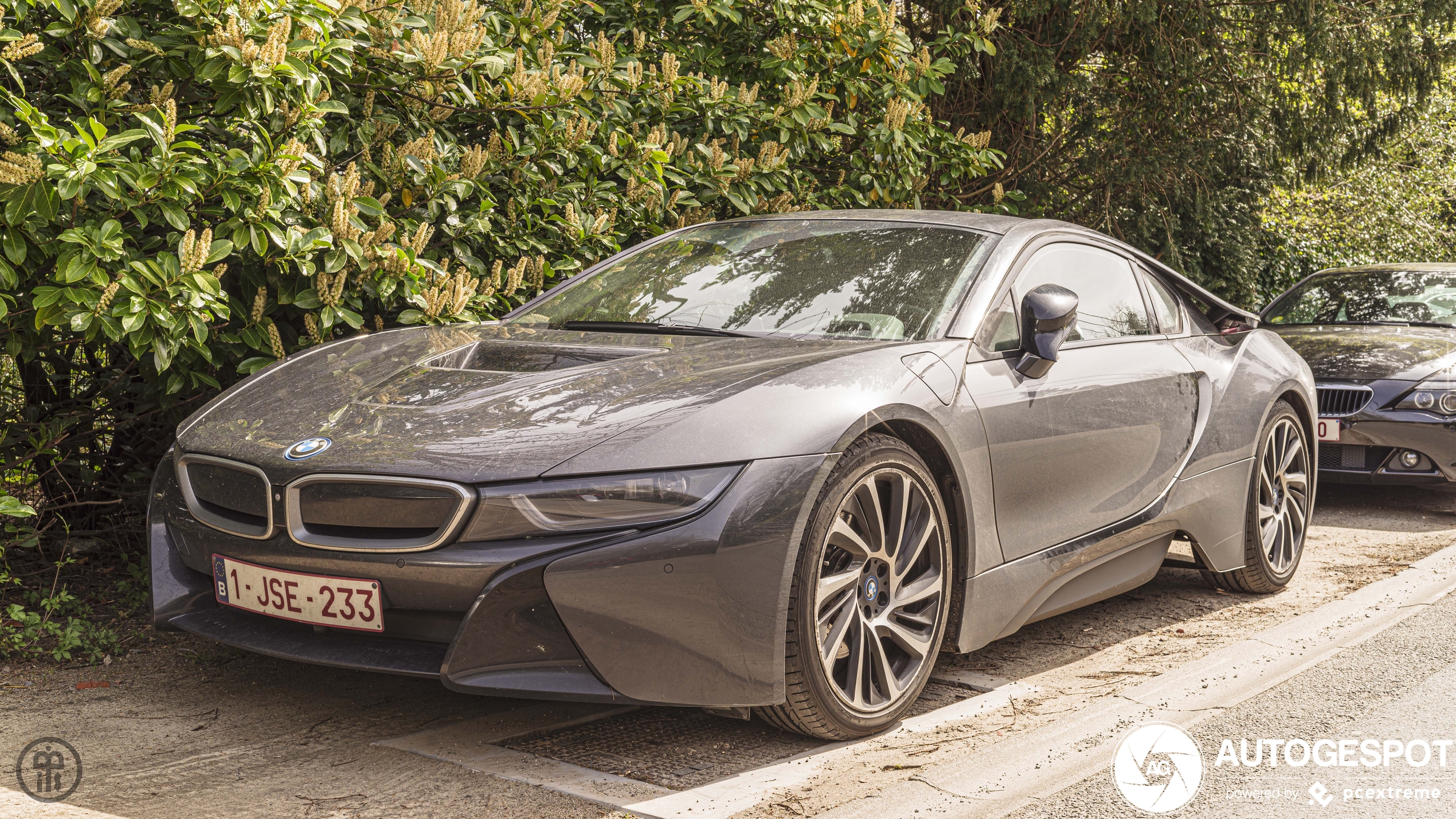 BMW i8