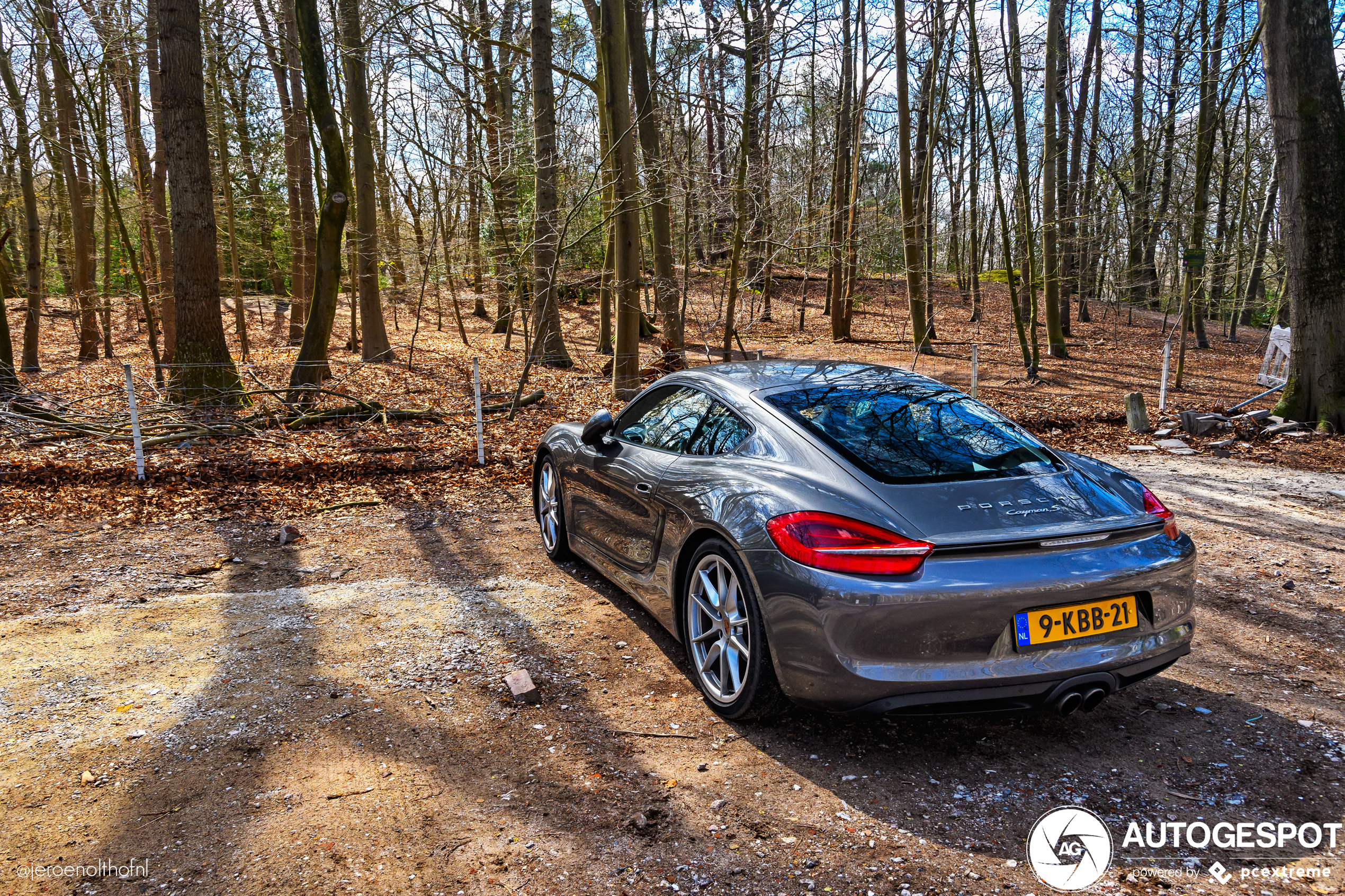 Porsche 981 Cayman S