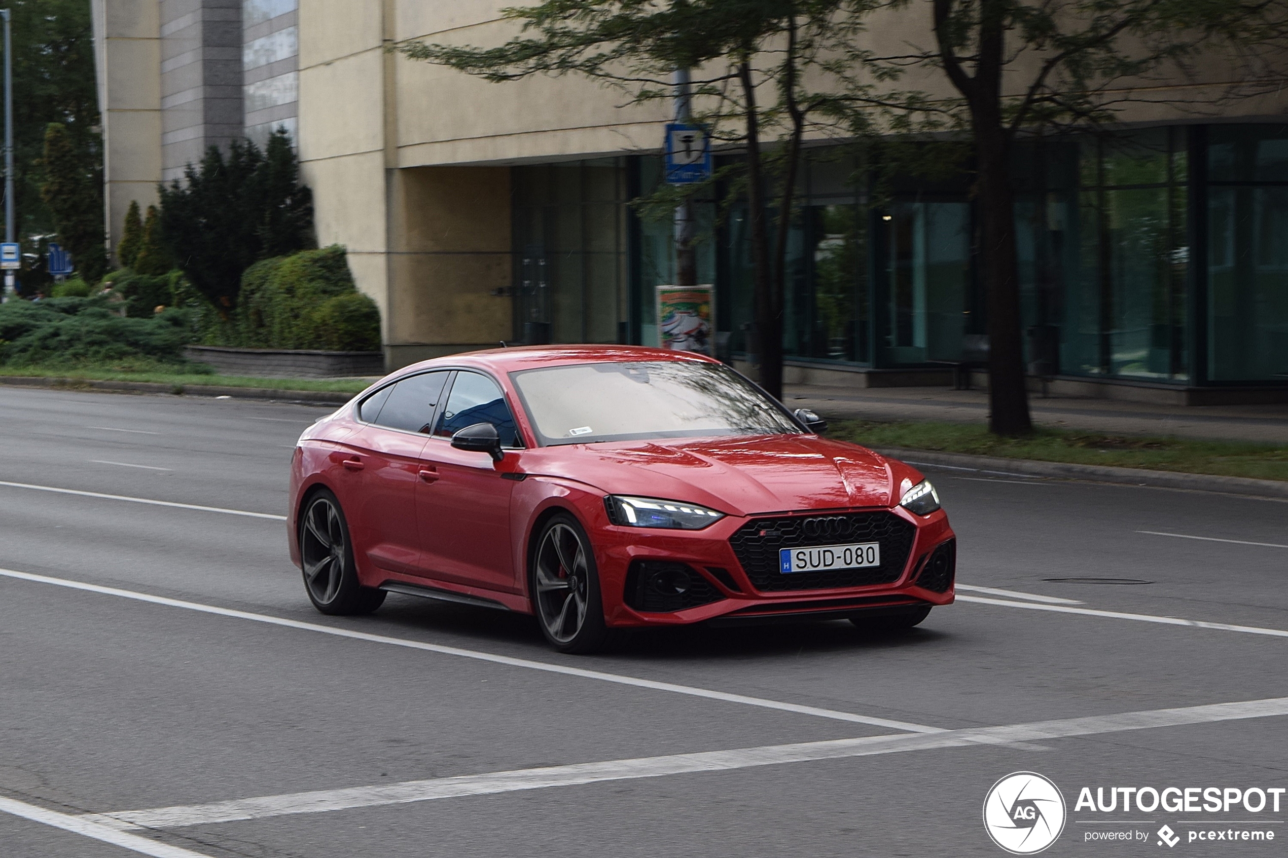 Audi RS5 Sportback B9 2021