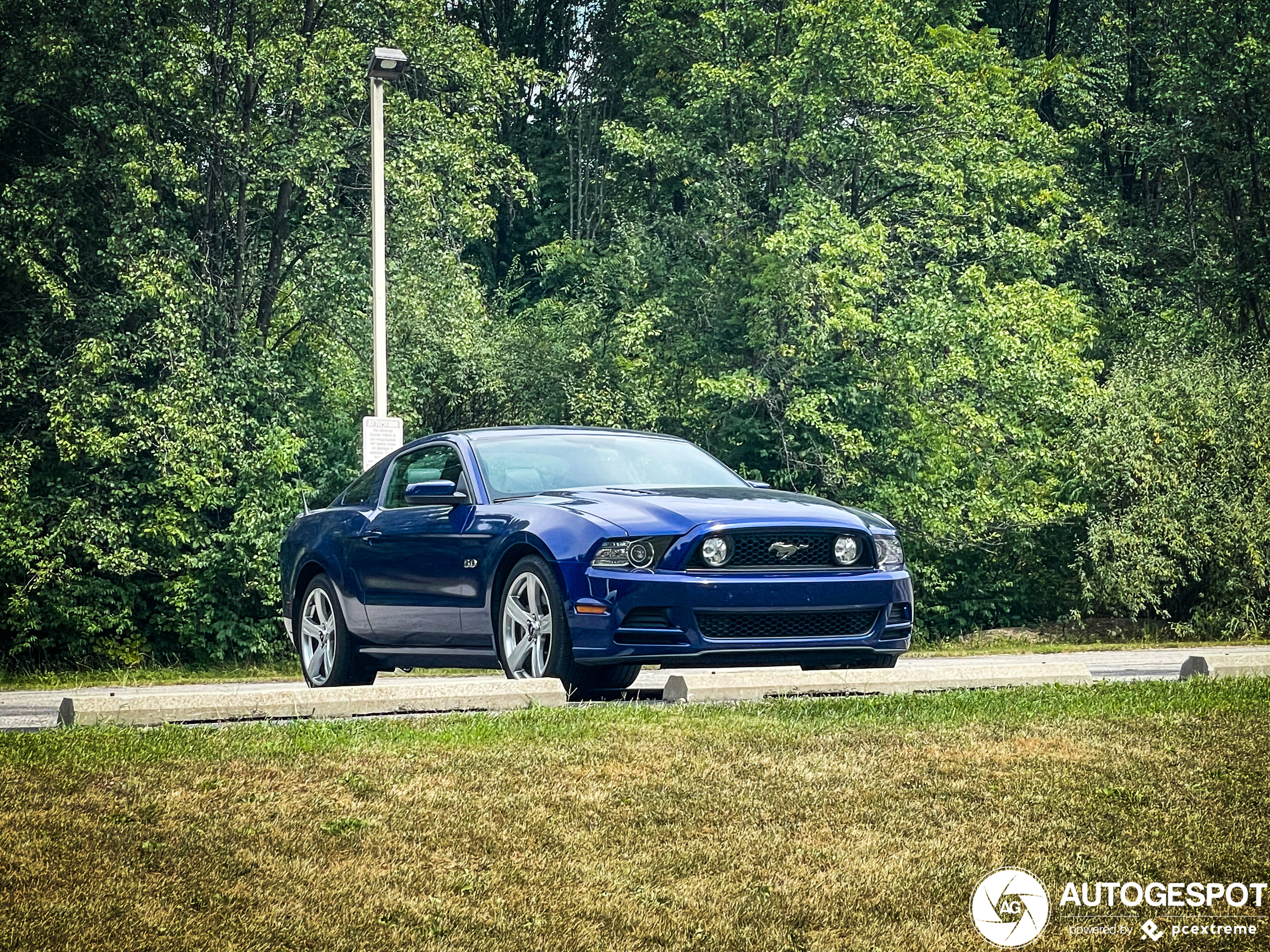 Ford Mustang GT 2013