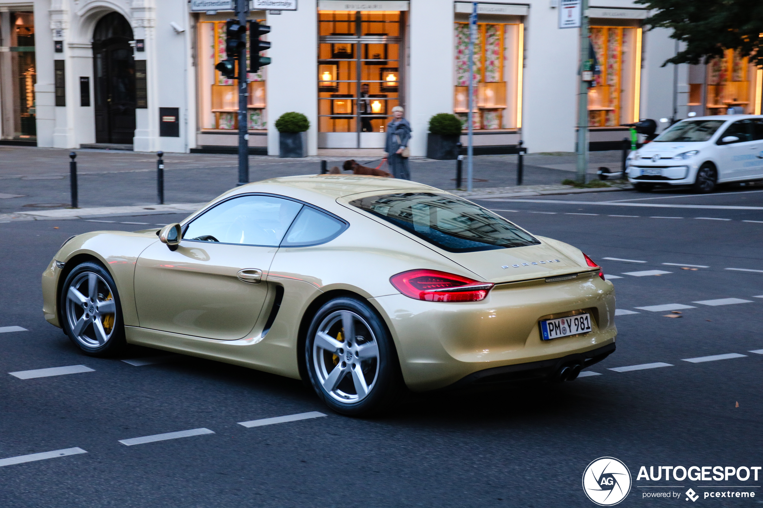 Porsche 981 Cayman S